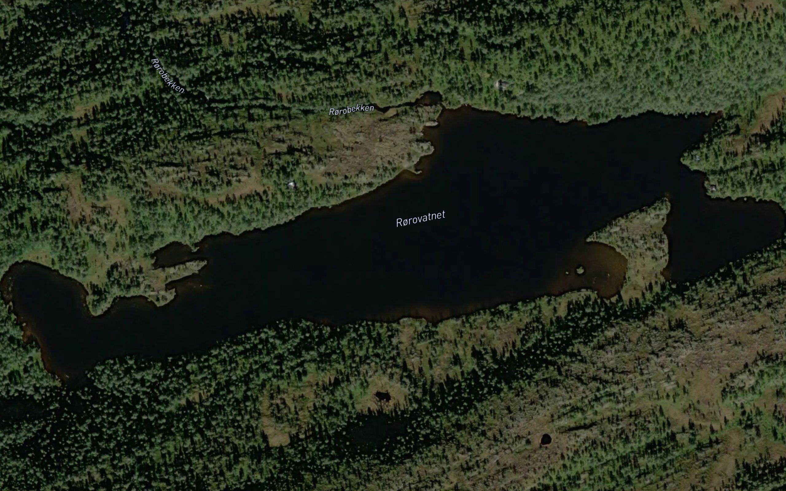 Roravatnet