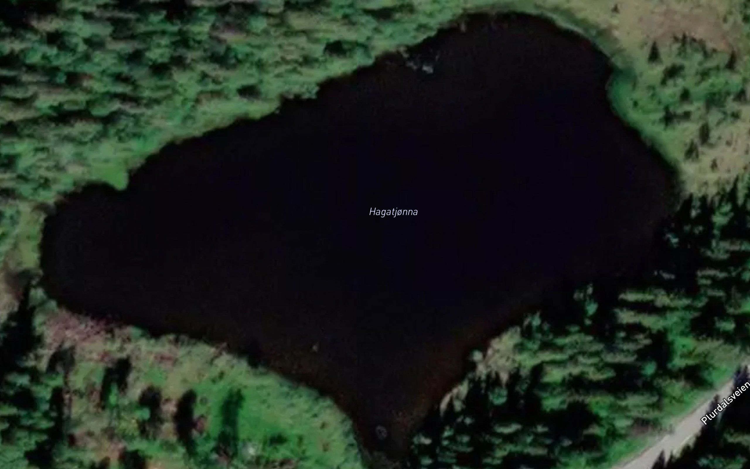 Hagatjorna