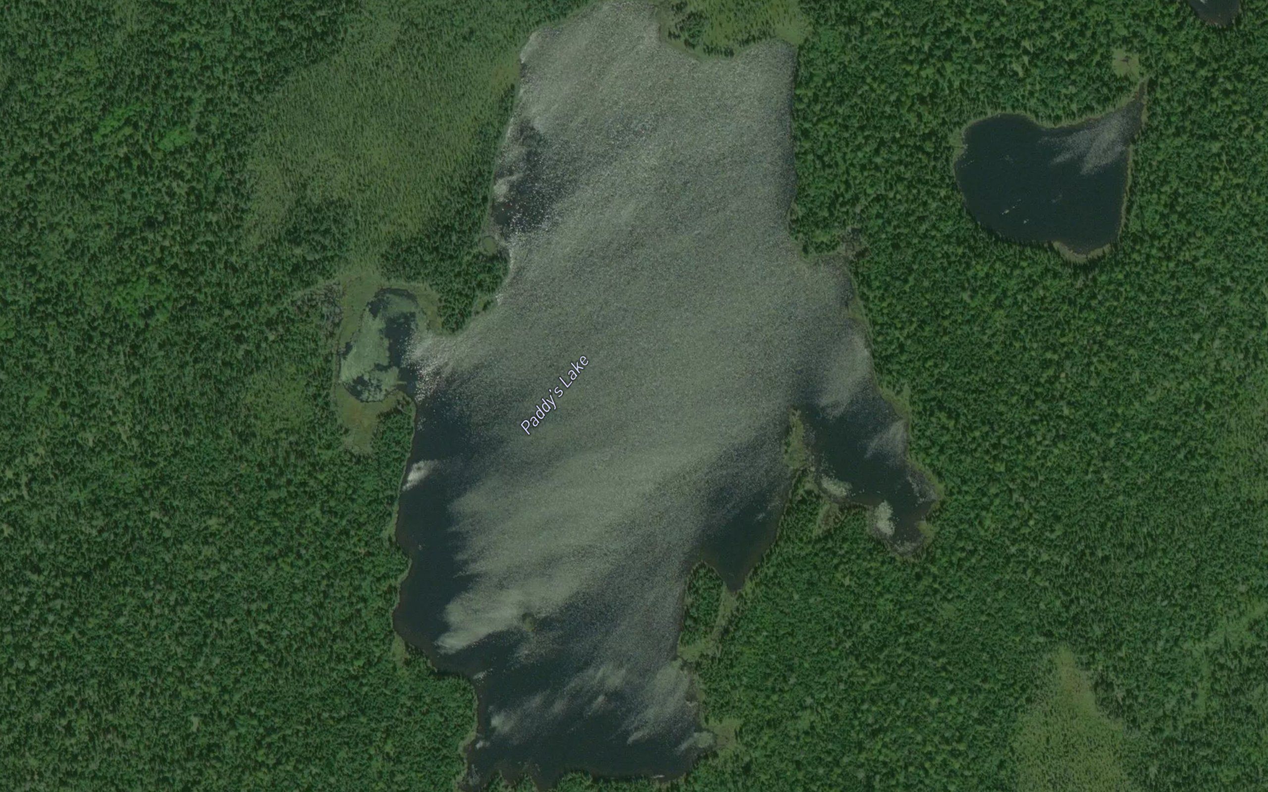 Paddy's Lake