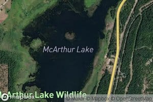McArthur Lake
