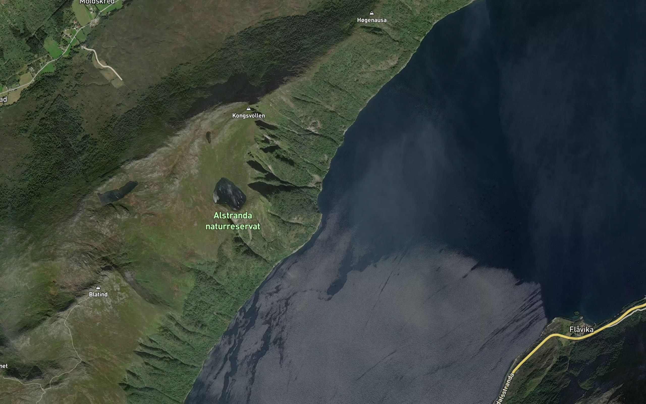 Laupsvika
