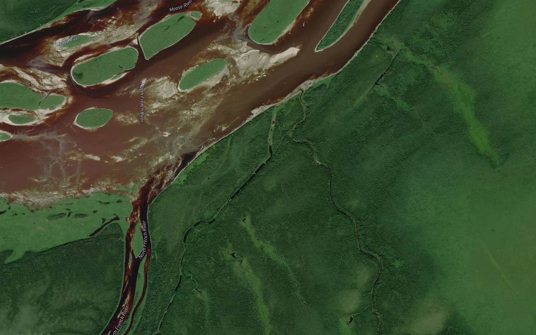Satellite map of the South Bluff Creek