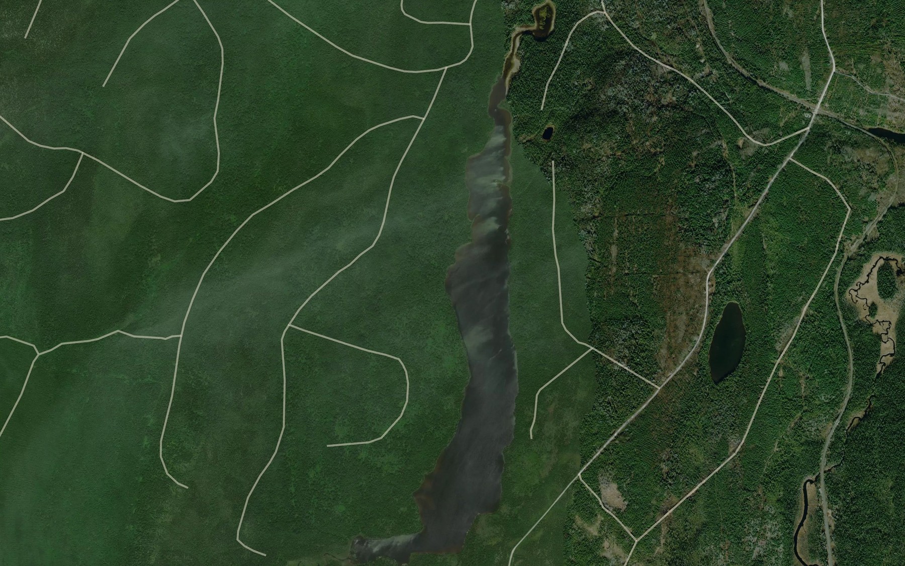 Satellite map of the Kenese Lake