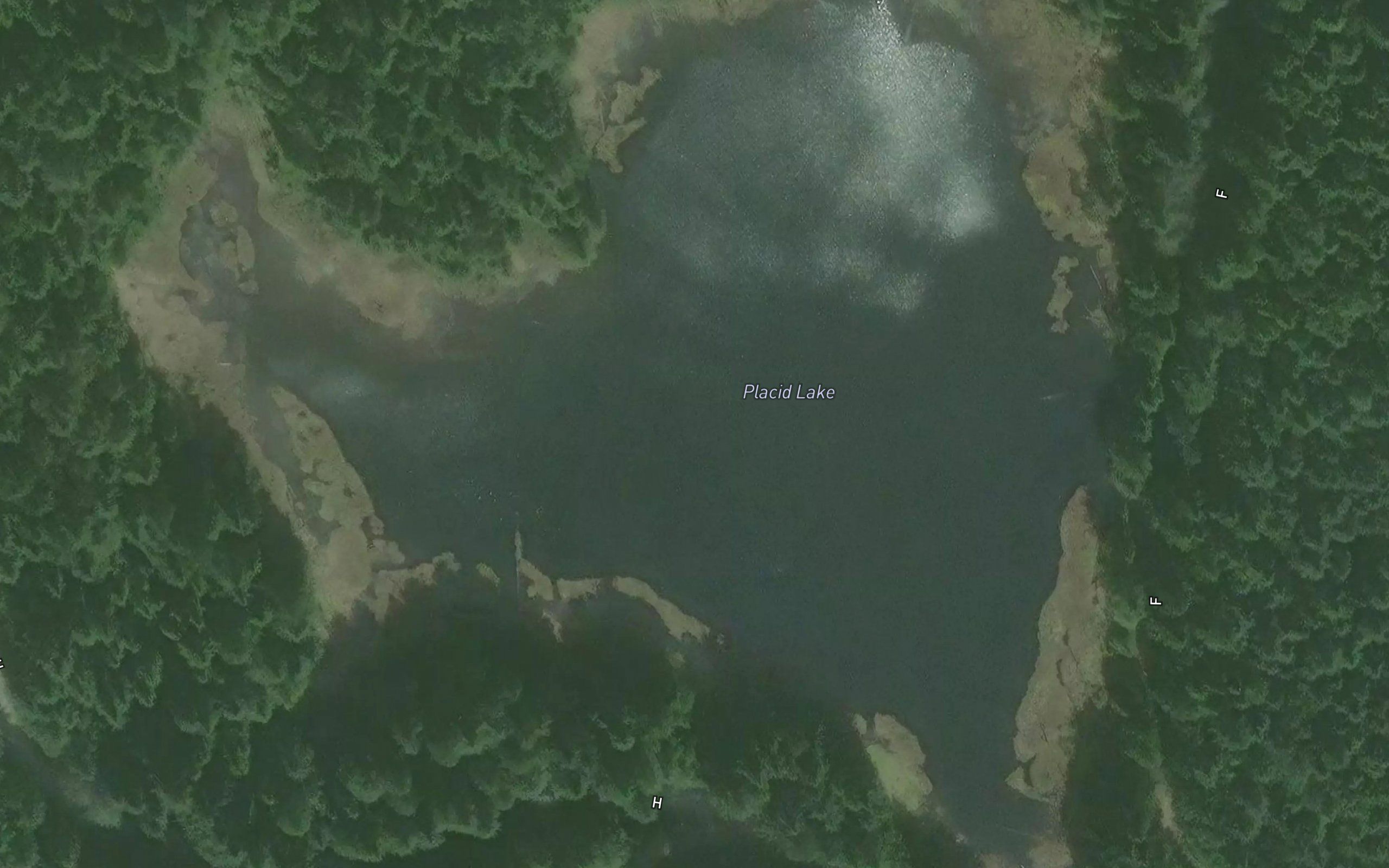 Placid Lake