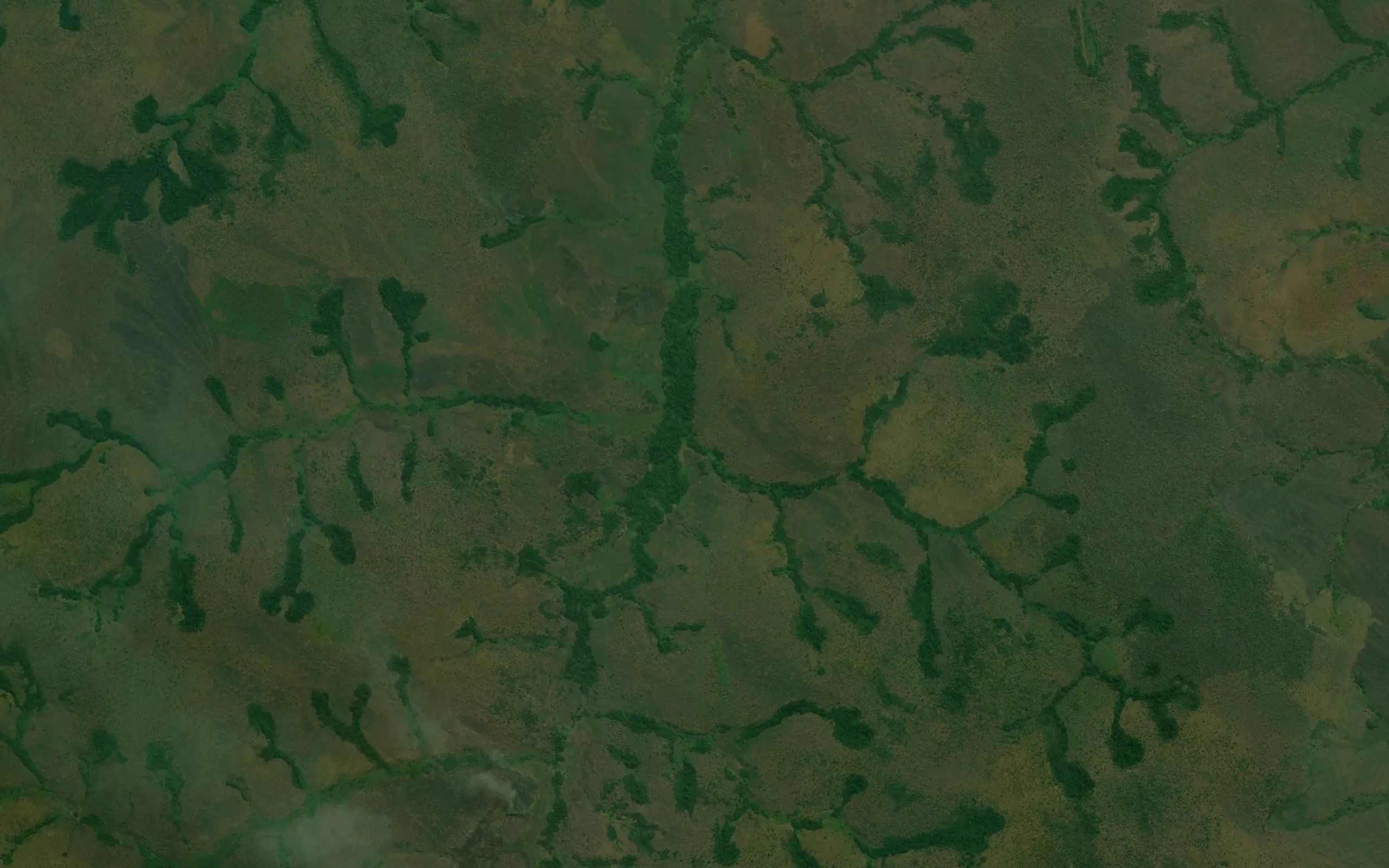 Nzambo
