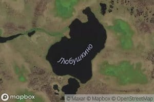 Lyubushkino Ozero