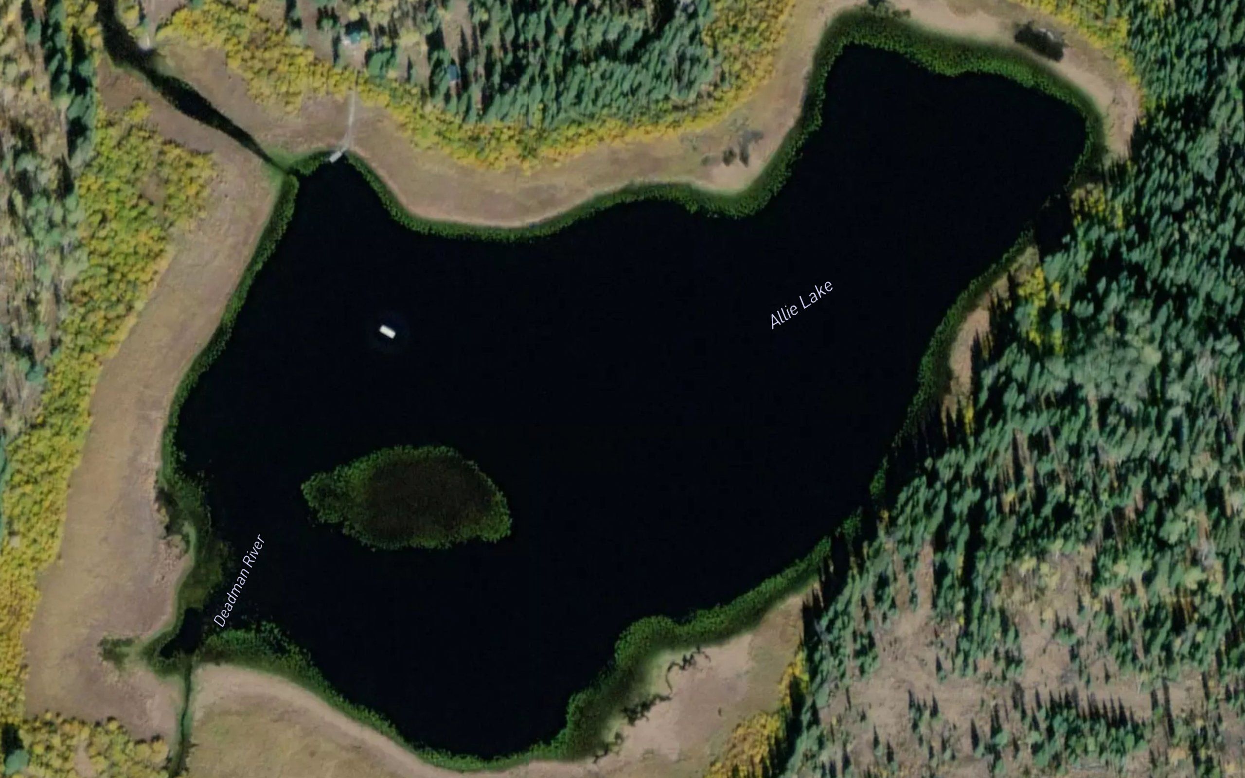 Allie Lake