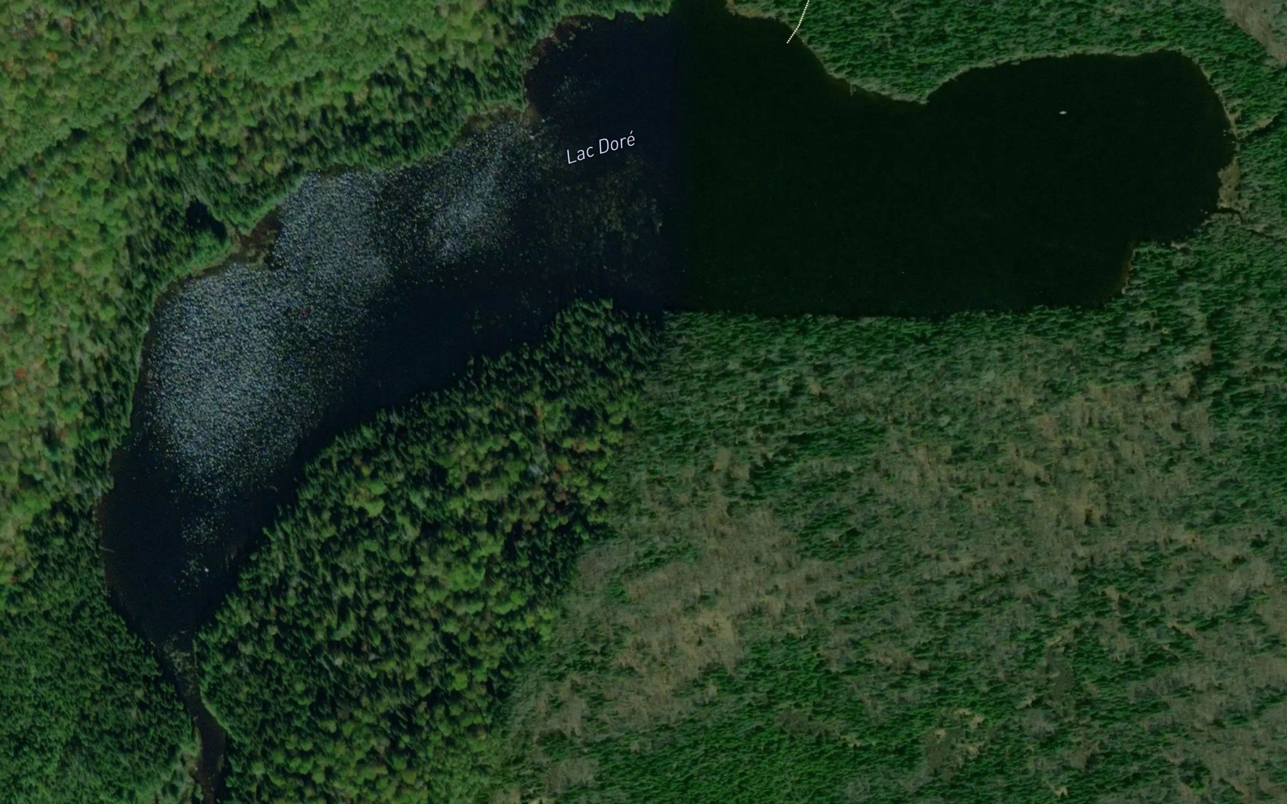 Lac Dore