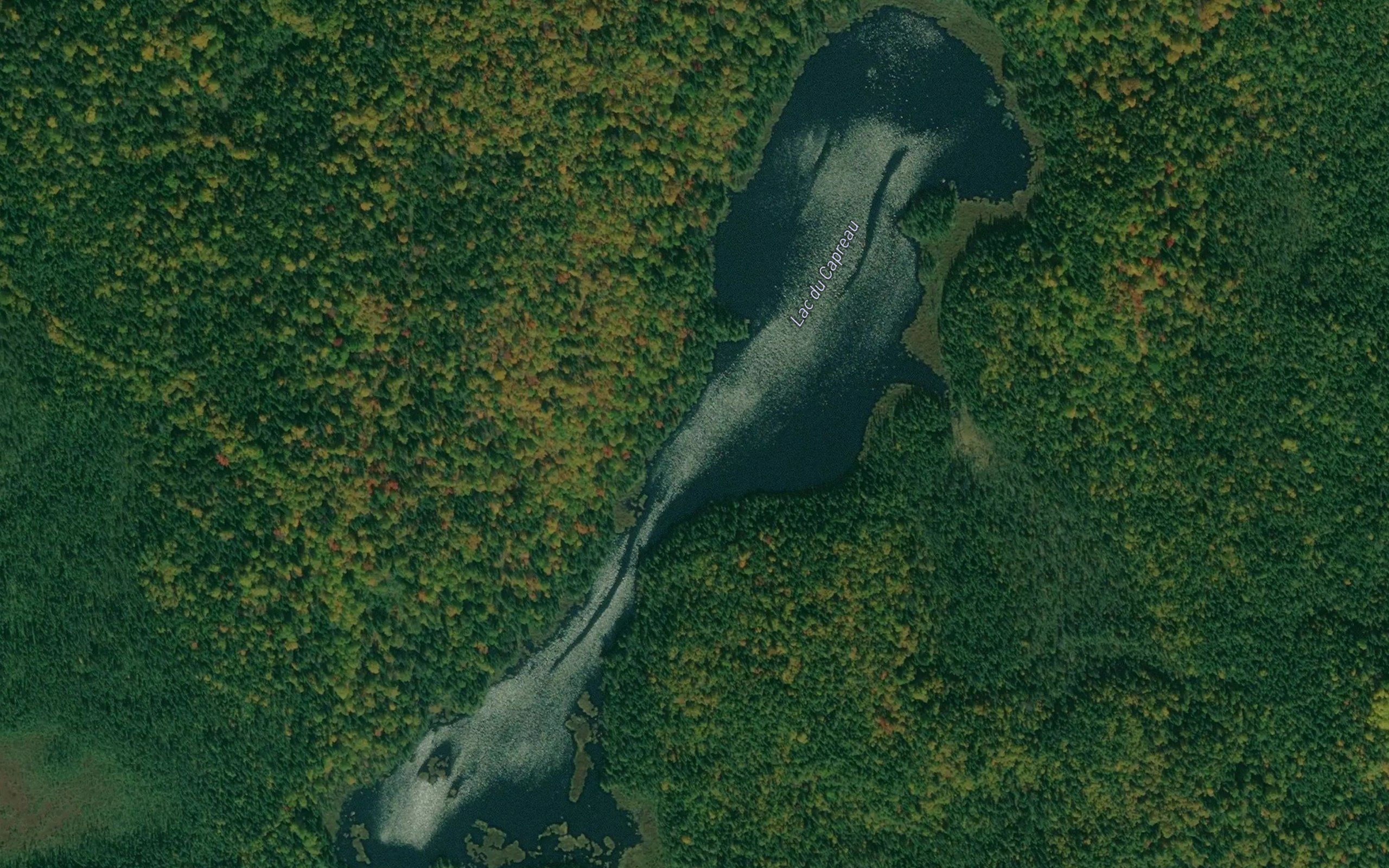 Lac du Carpeau