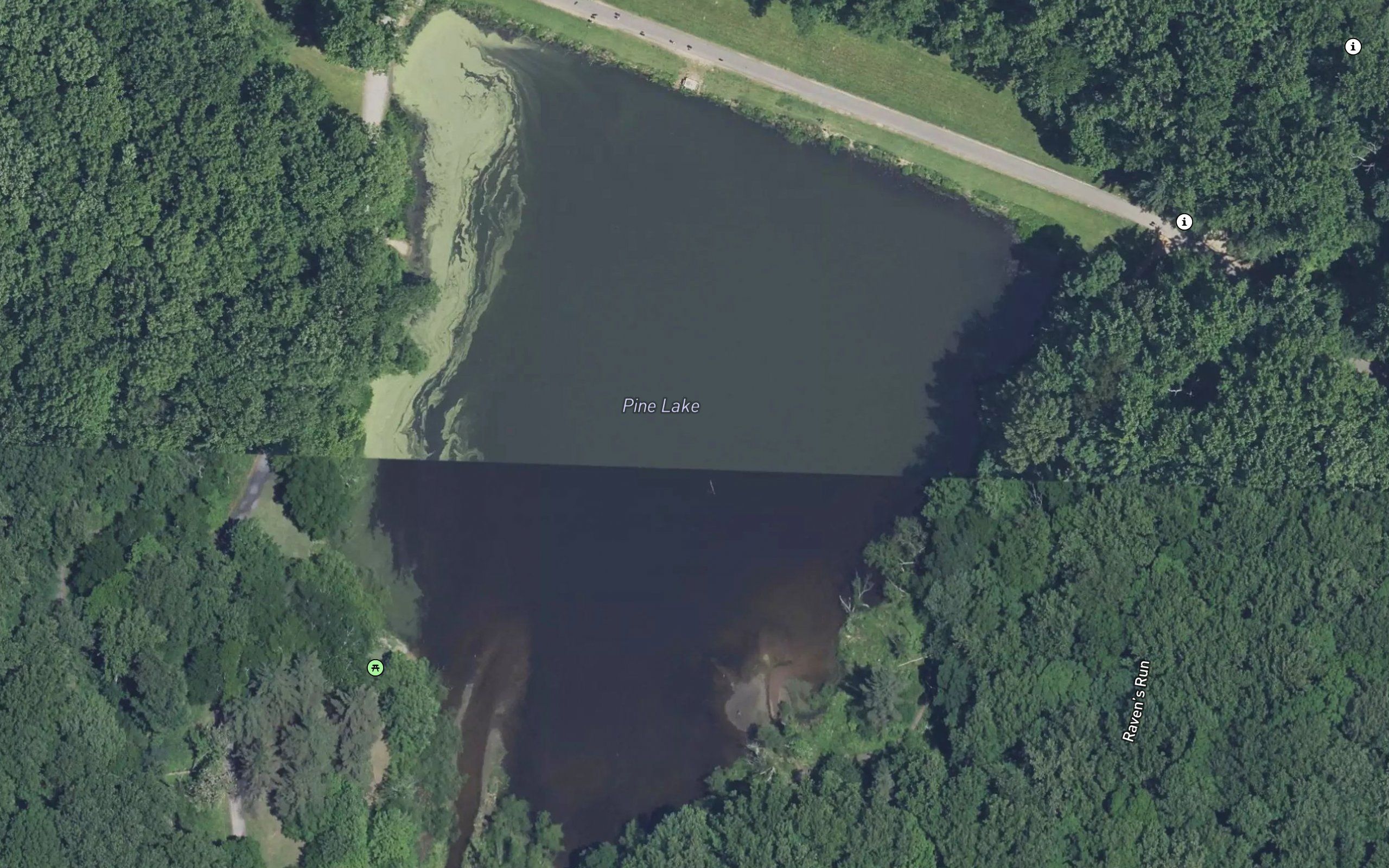 Pine Lake