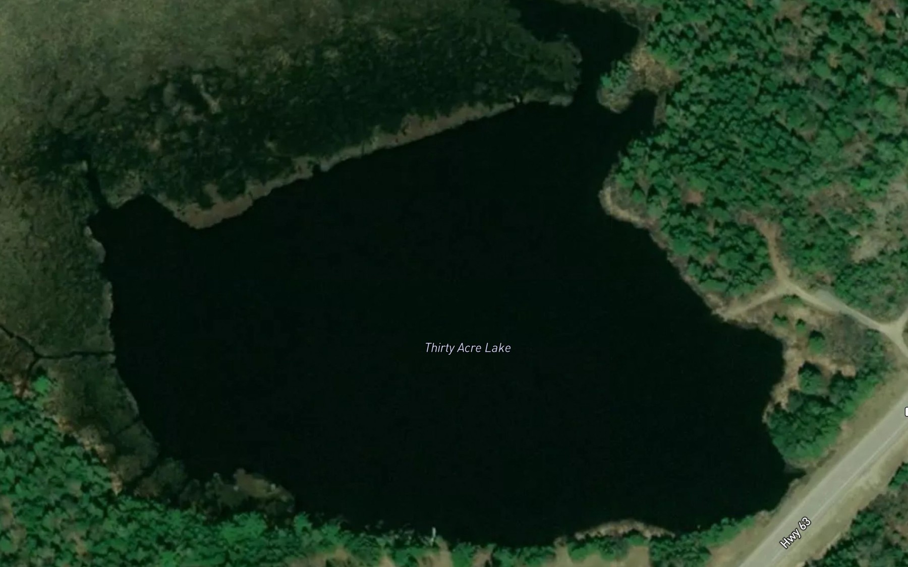 Satellite map of the Thirty Acre Lake