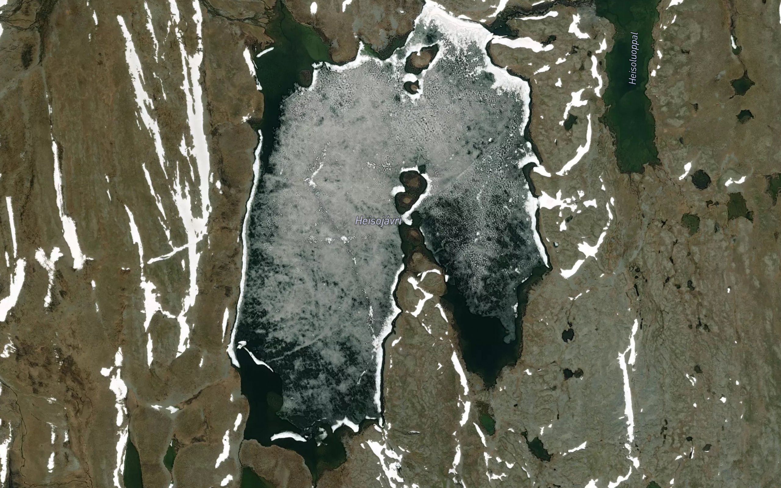 Heisujavri