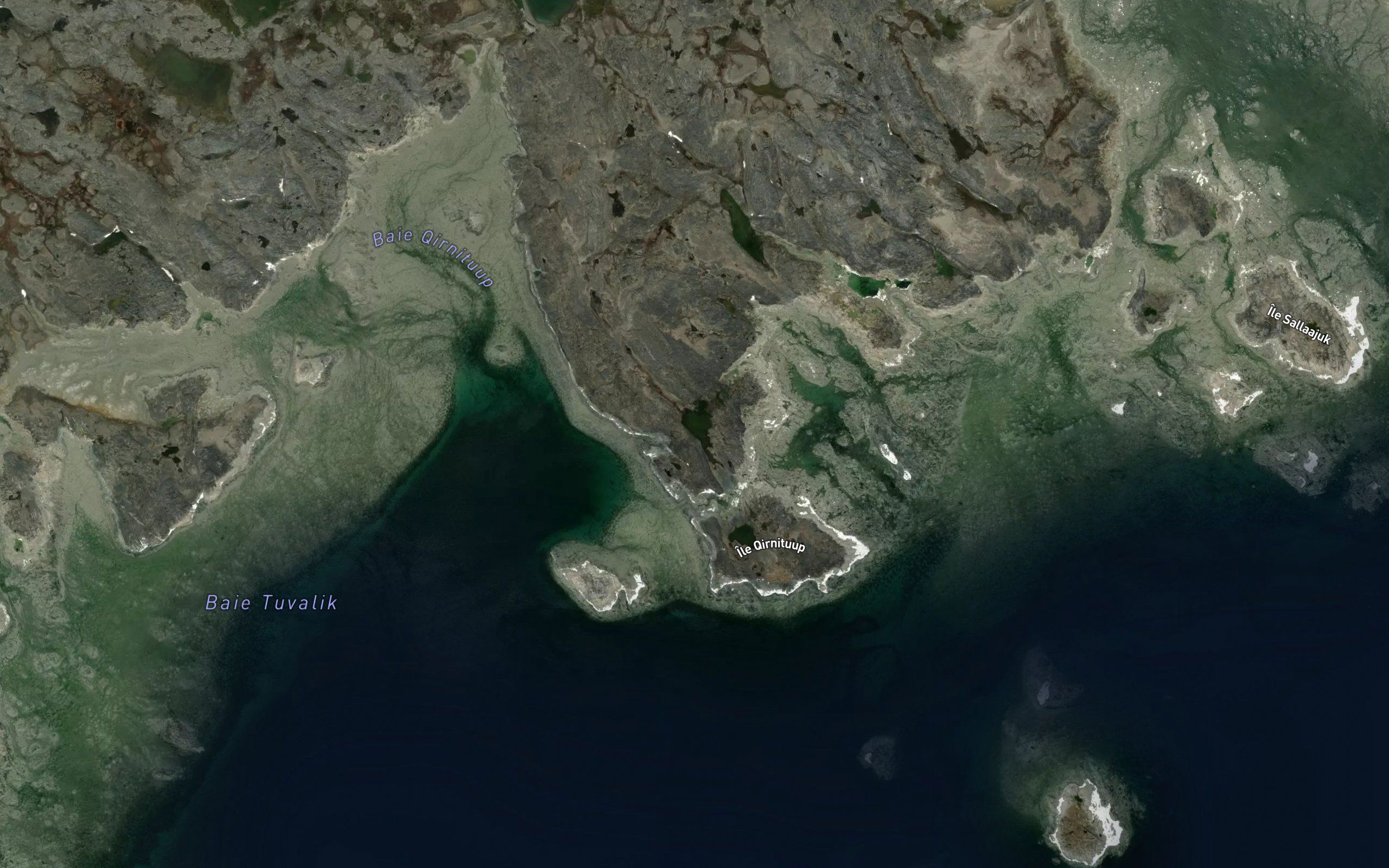 Lac Qirnituup