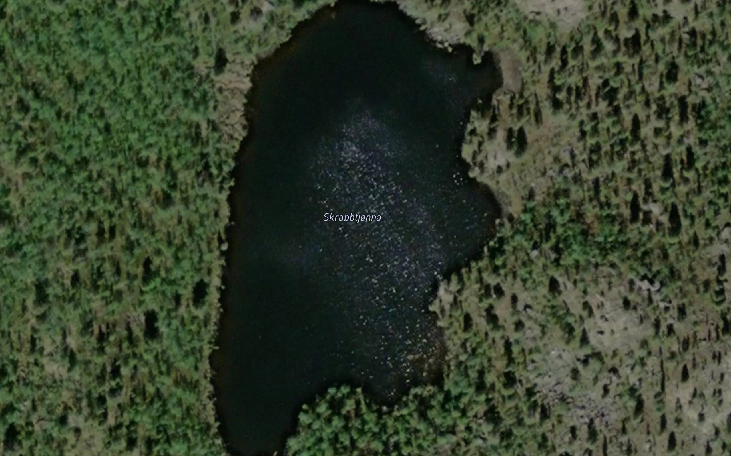 Skrabbtjorna