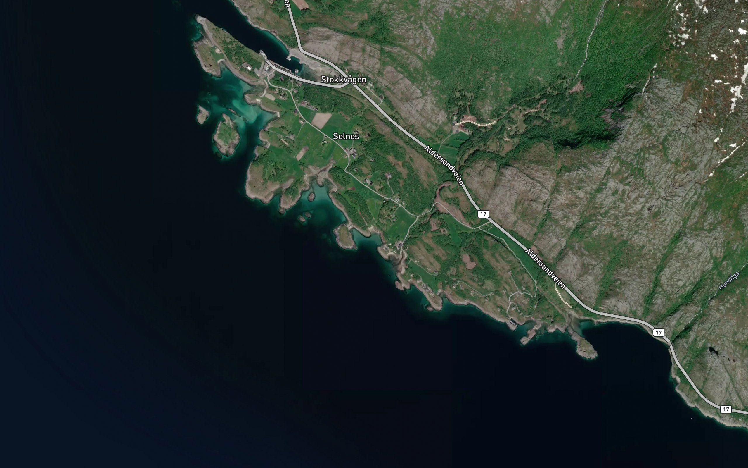 Svarttjonna