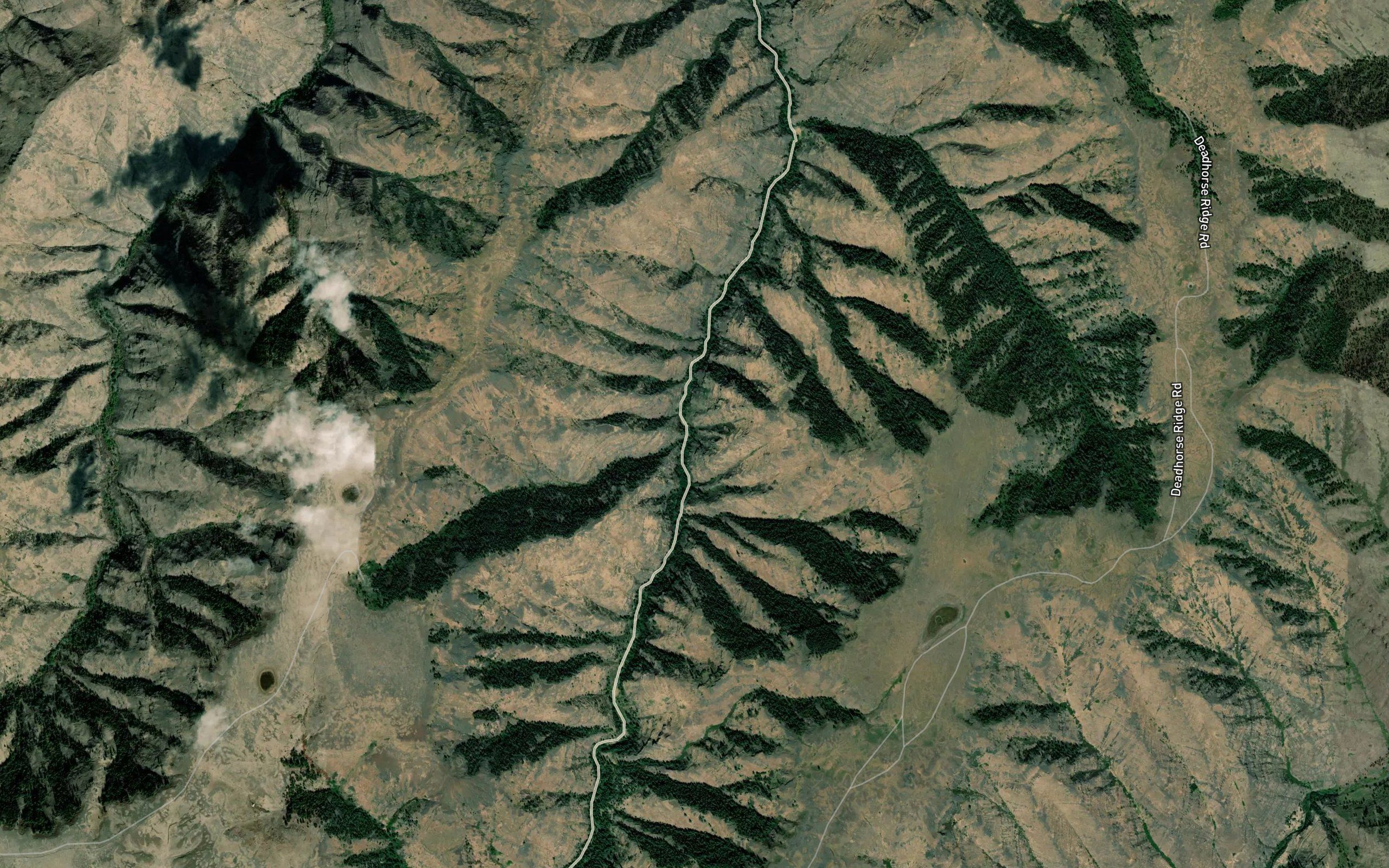 Brigham Creek