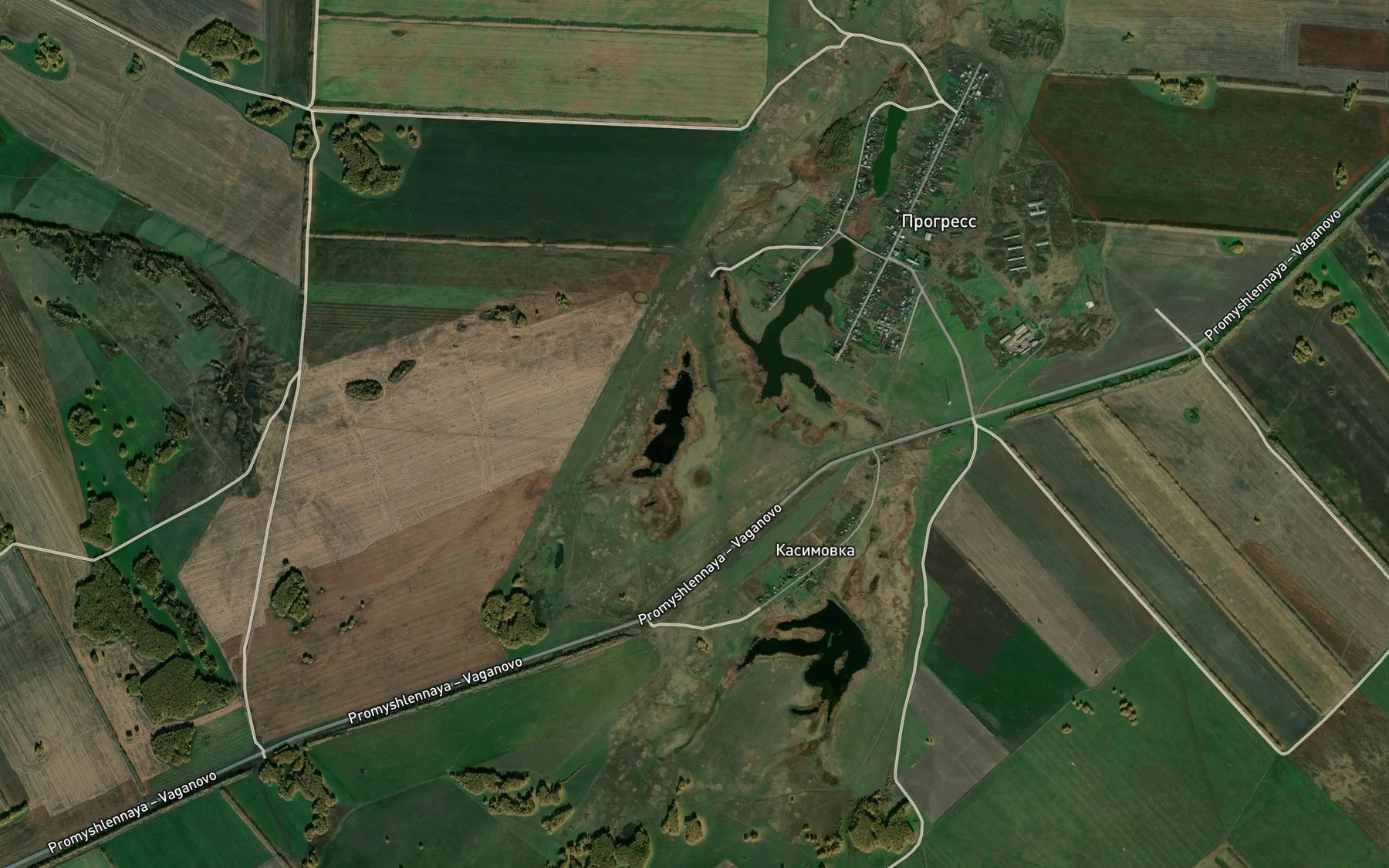 Satellite map of the Ozero Okunevo