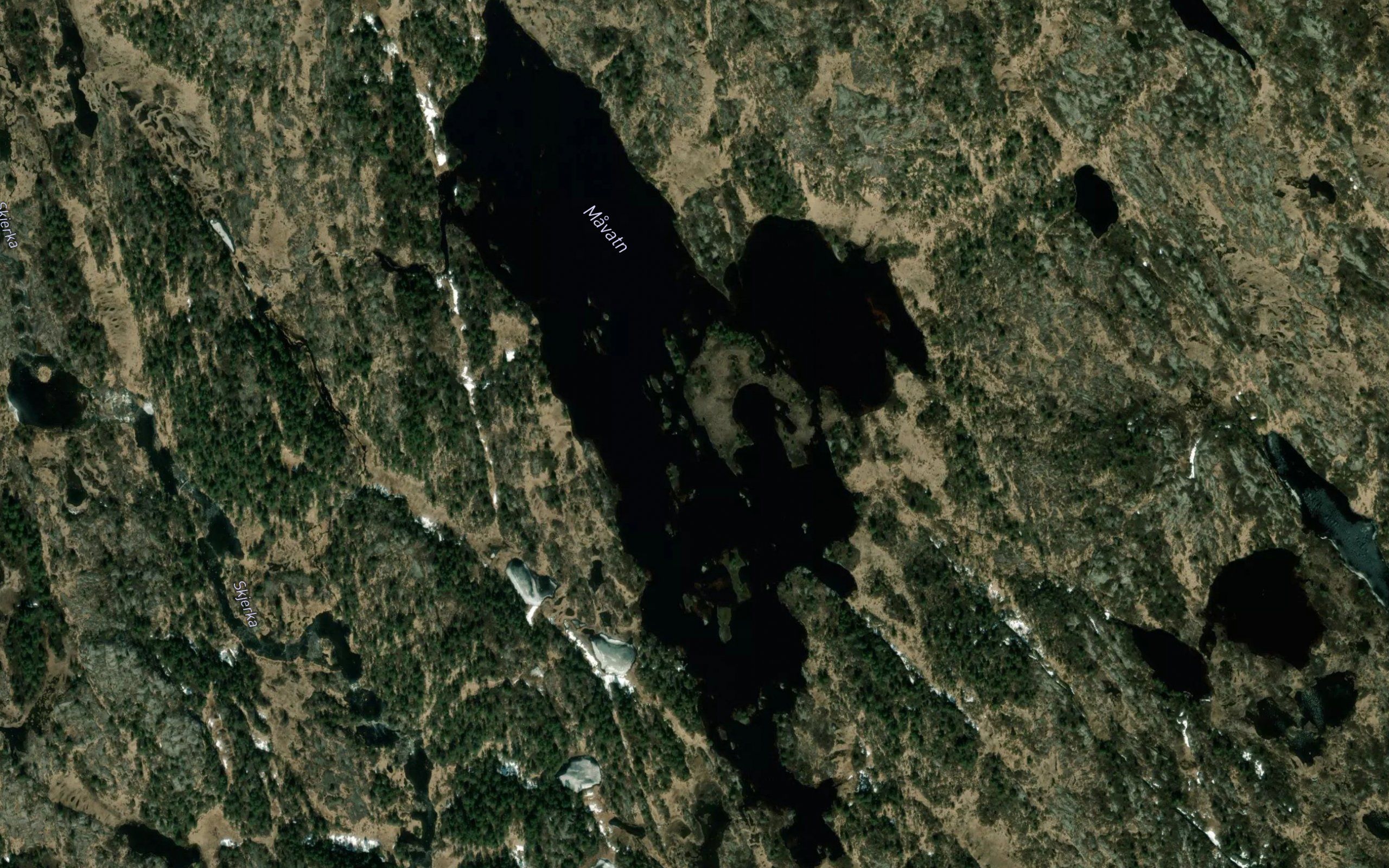 Mavatn