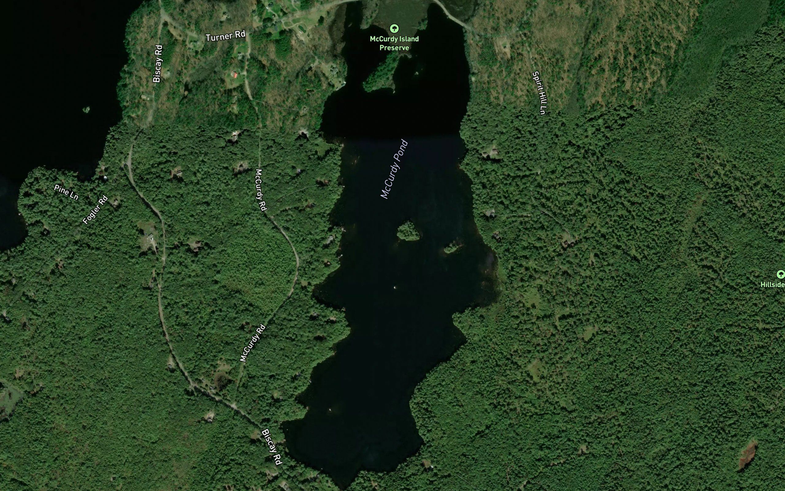 McCurdy Pond