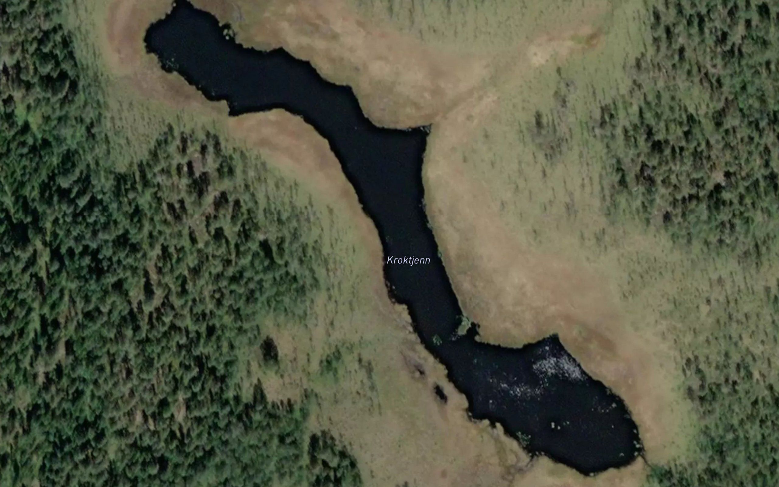 Kroktjern