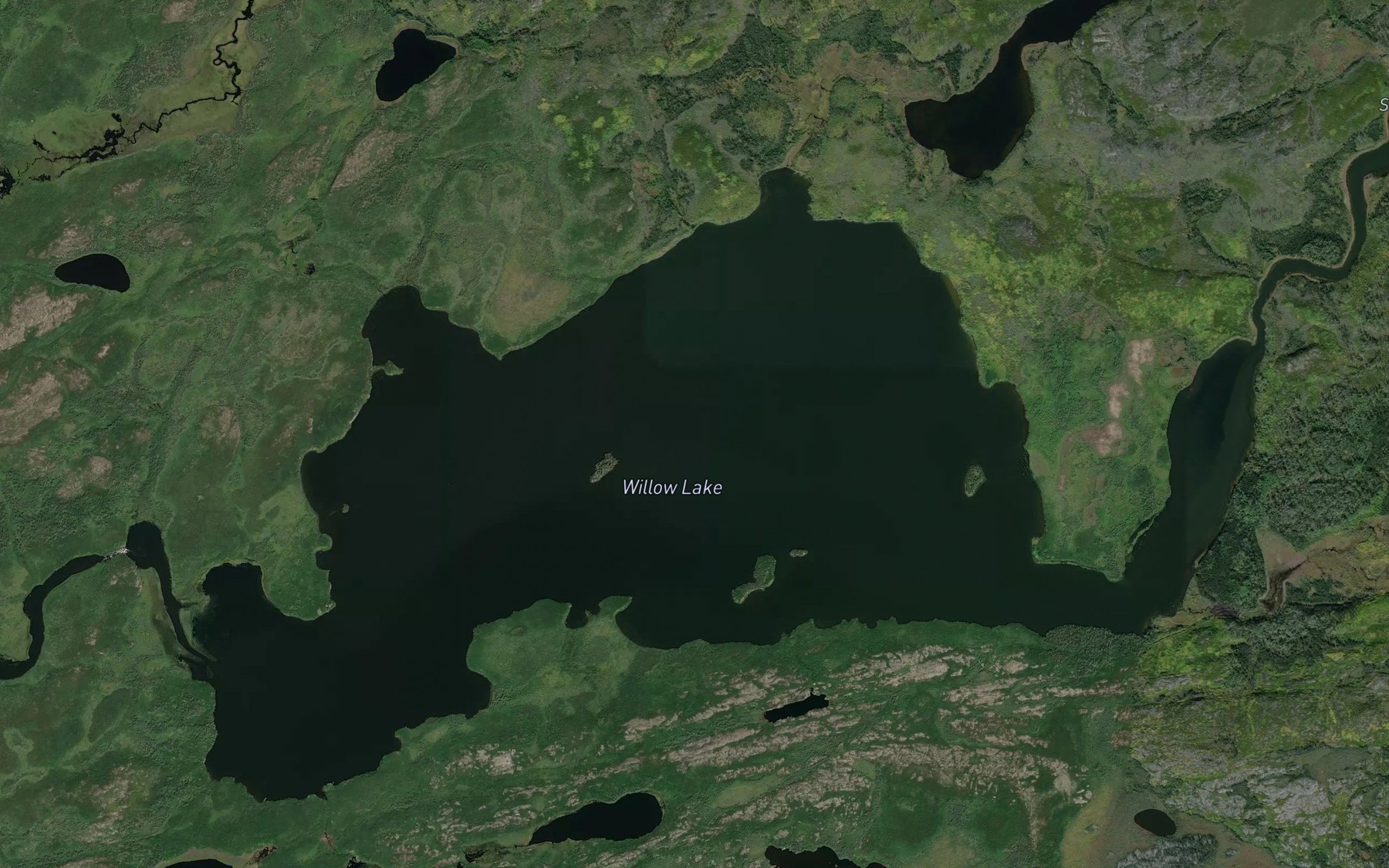 Satellite map of the Willow Lake