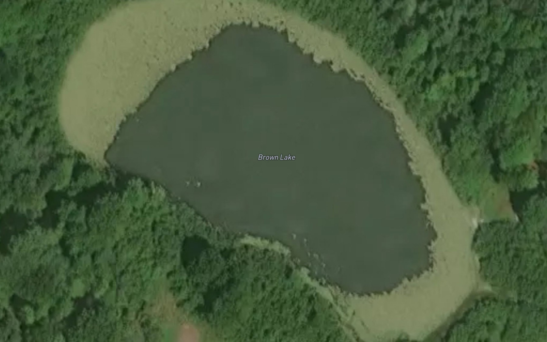 Satellite map of the Brown Lake