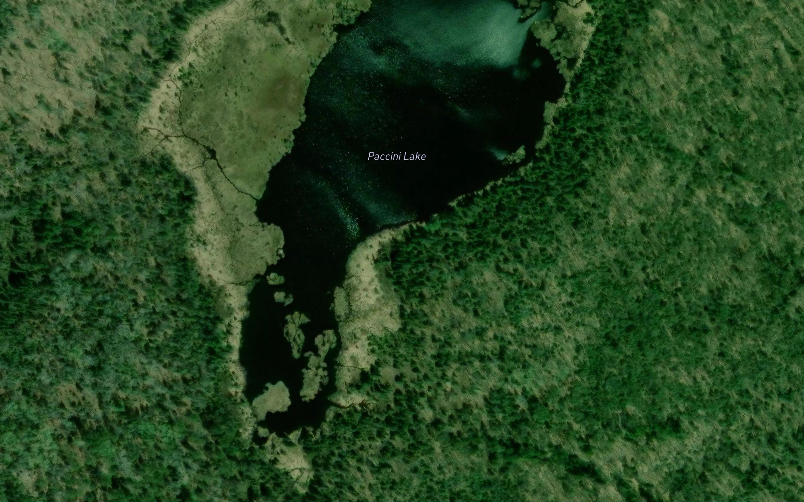 Paccini Lake
