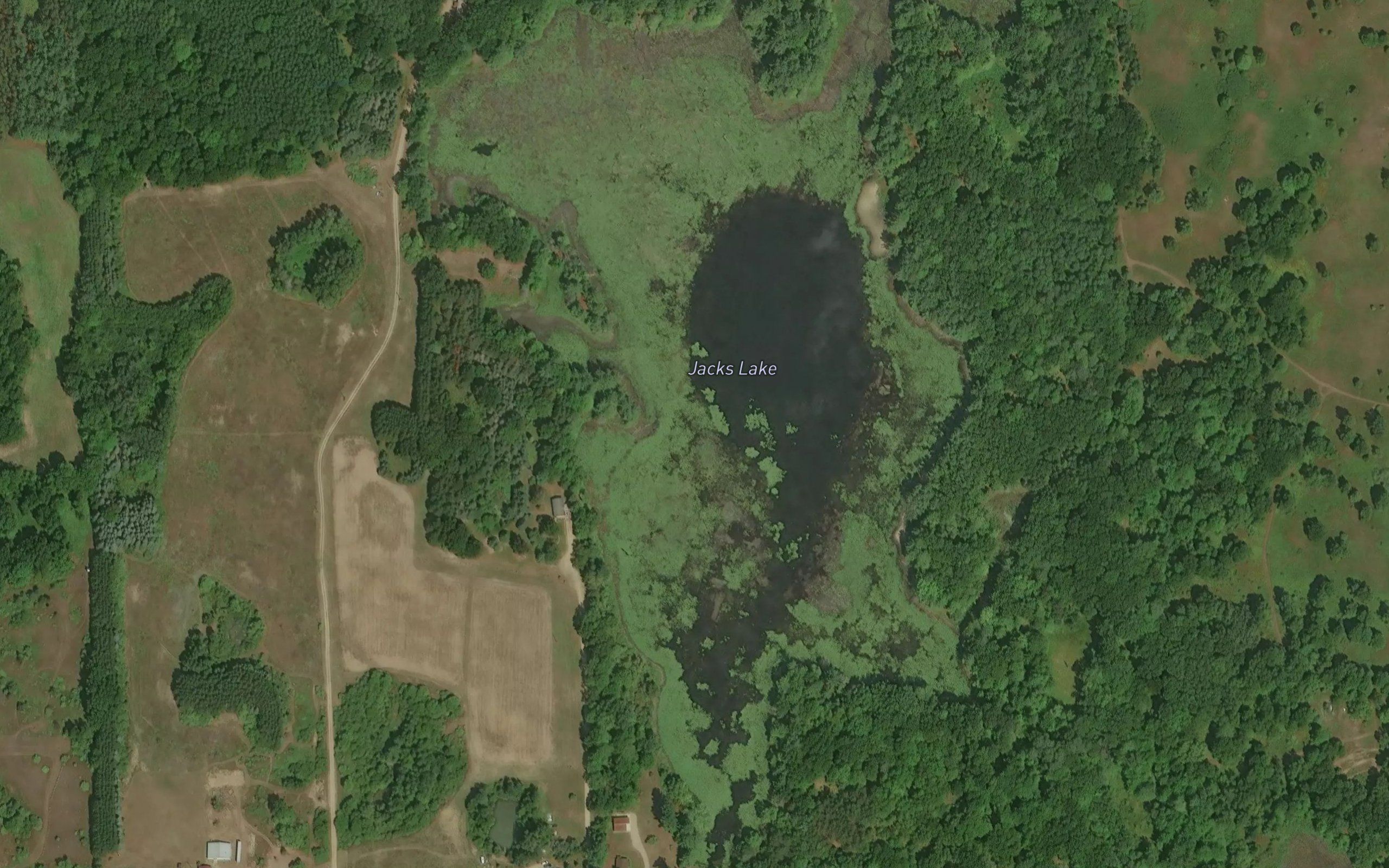 Jacks Lake
