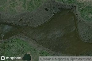 Shallow Lake