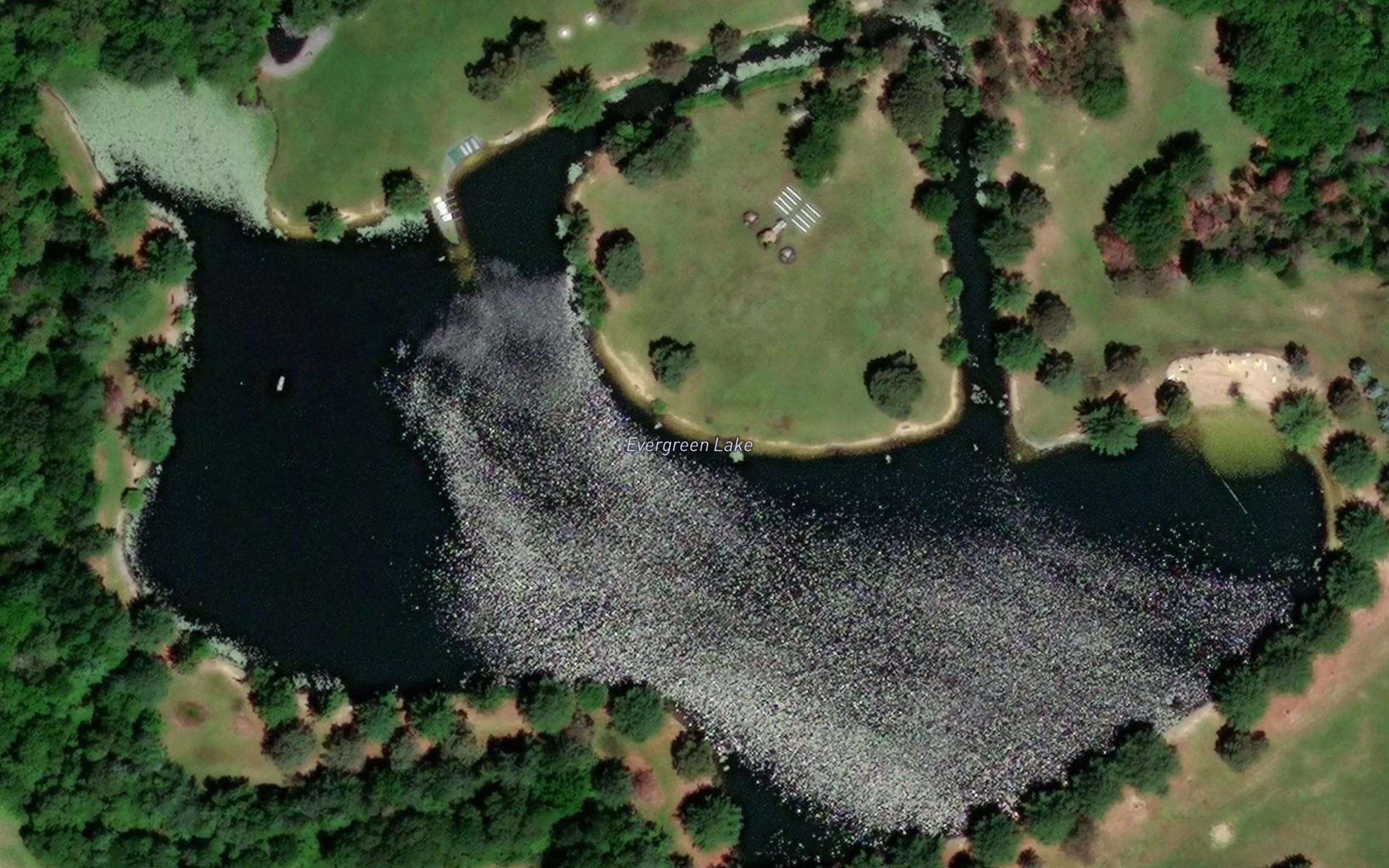 Evergreen Lake