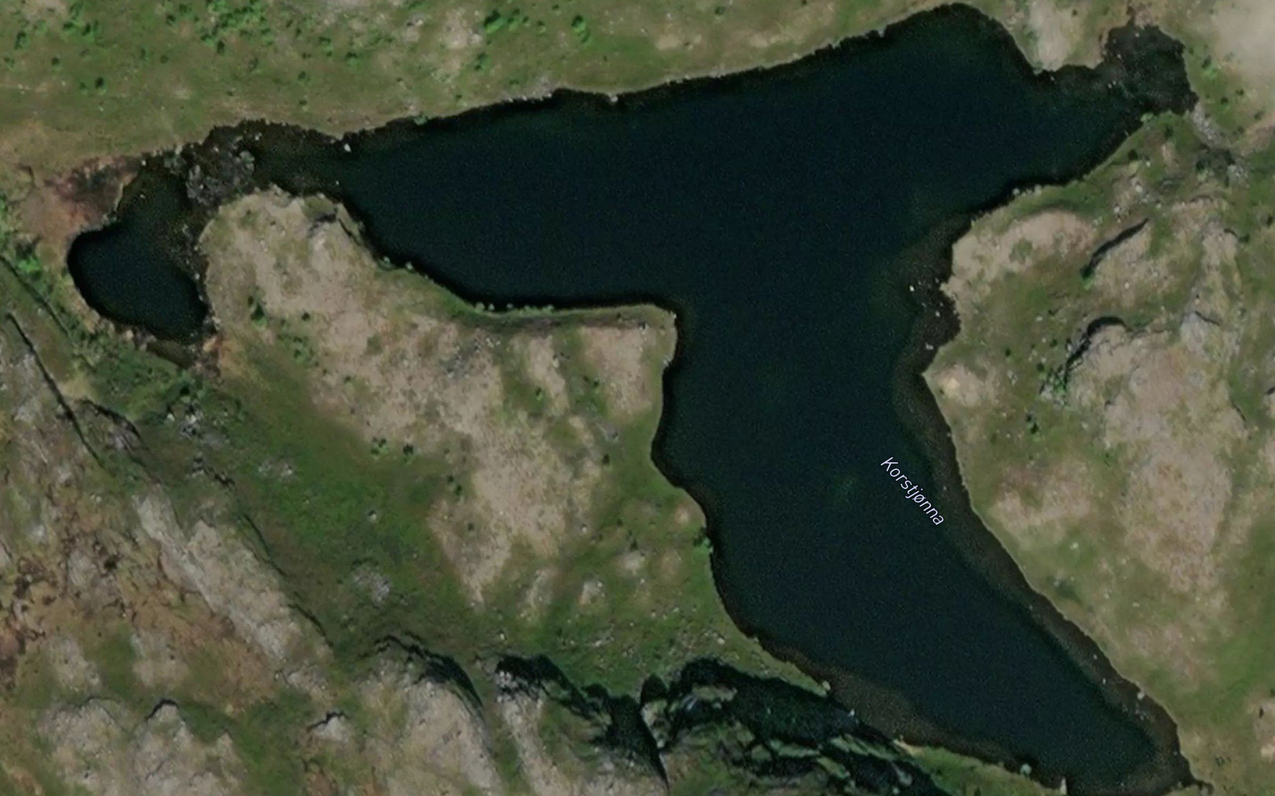 Korstjorna