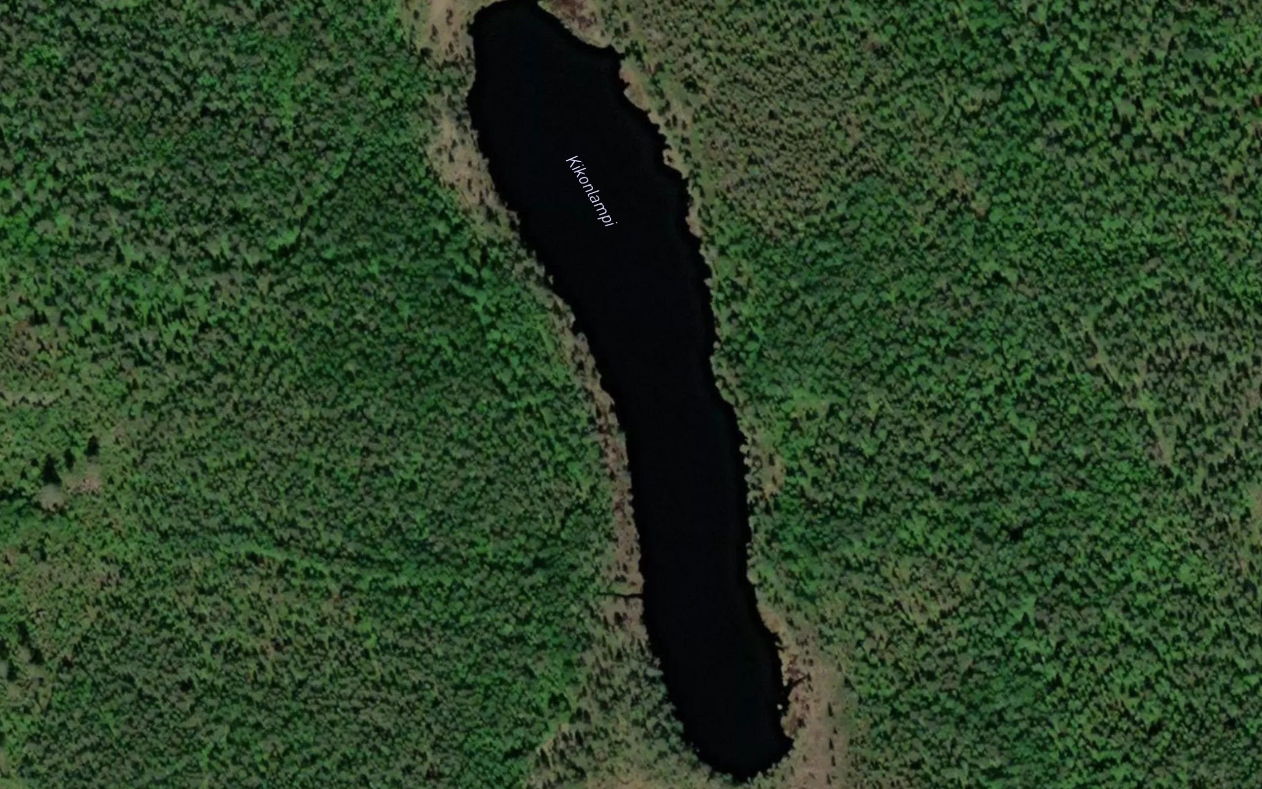 Kikonlampi