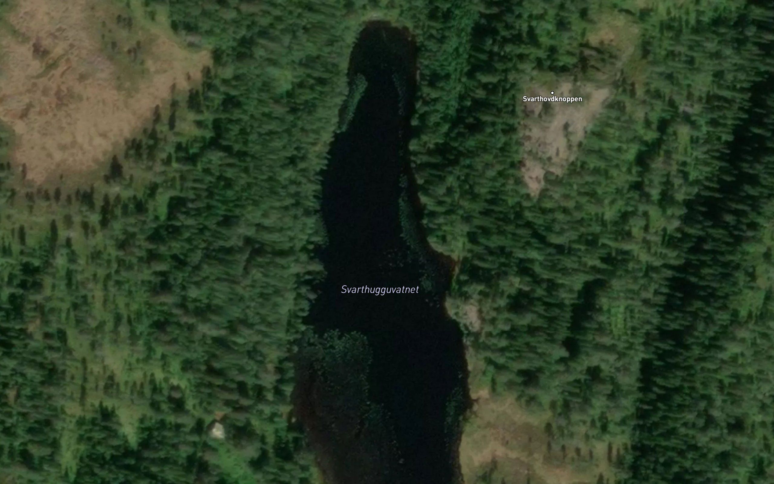 Svarthugguvatnet