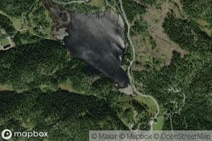 Leitestjonn