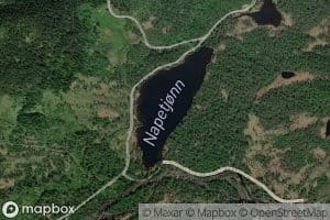 Napatjonn