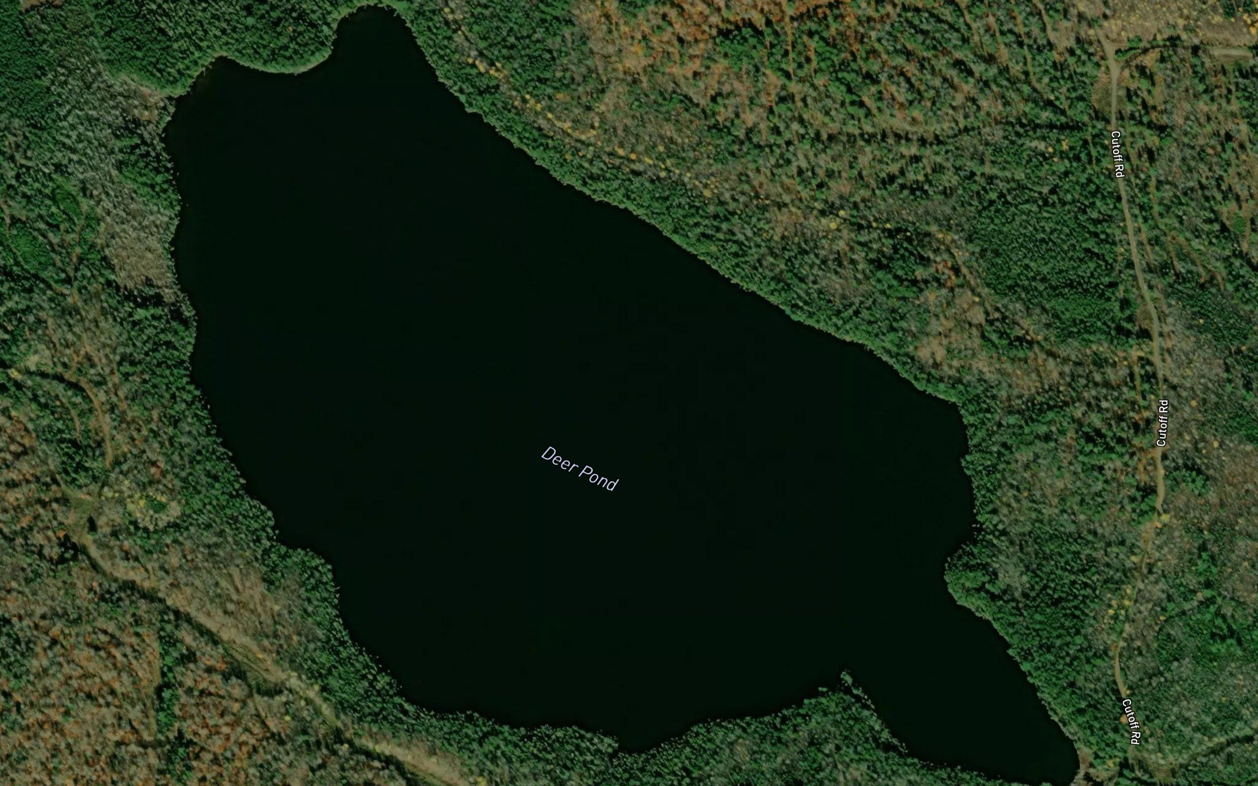 Deer Pond