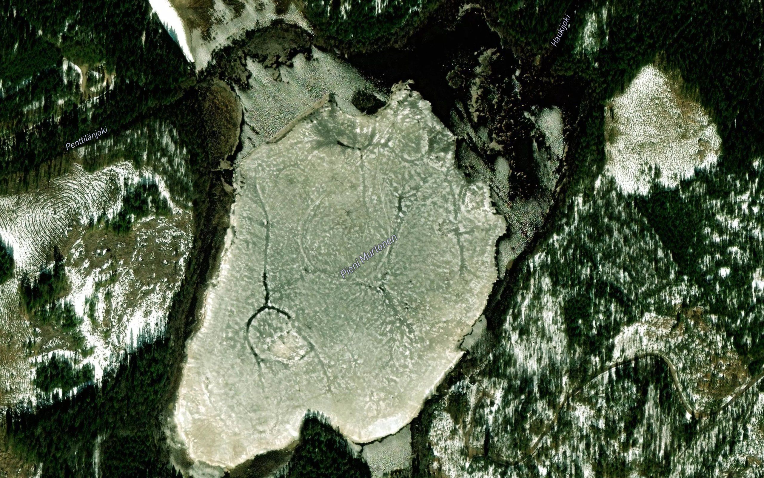 Haukijoki
