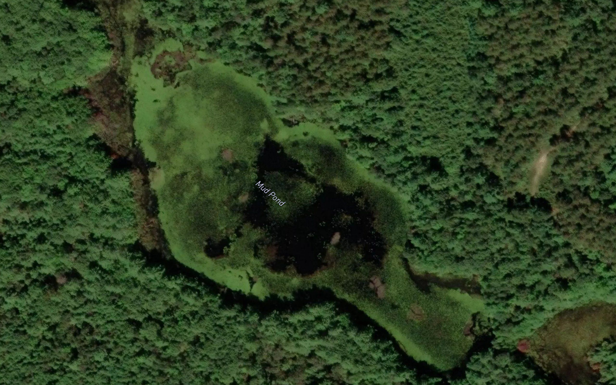 Mud Pond