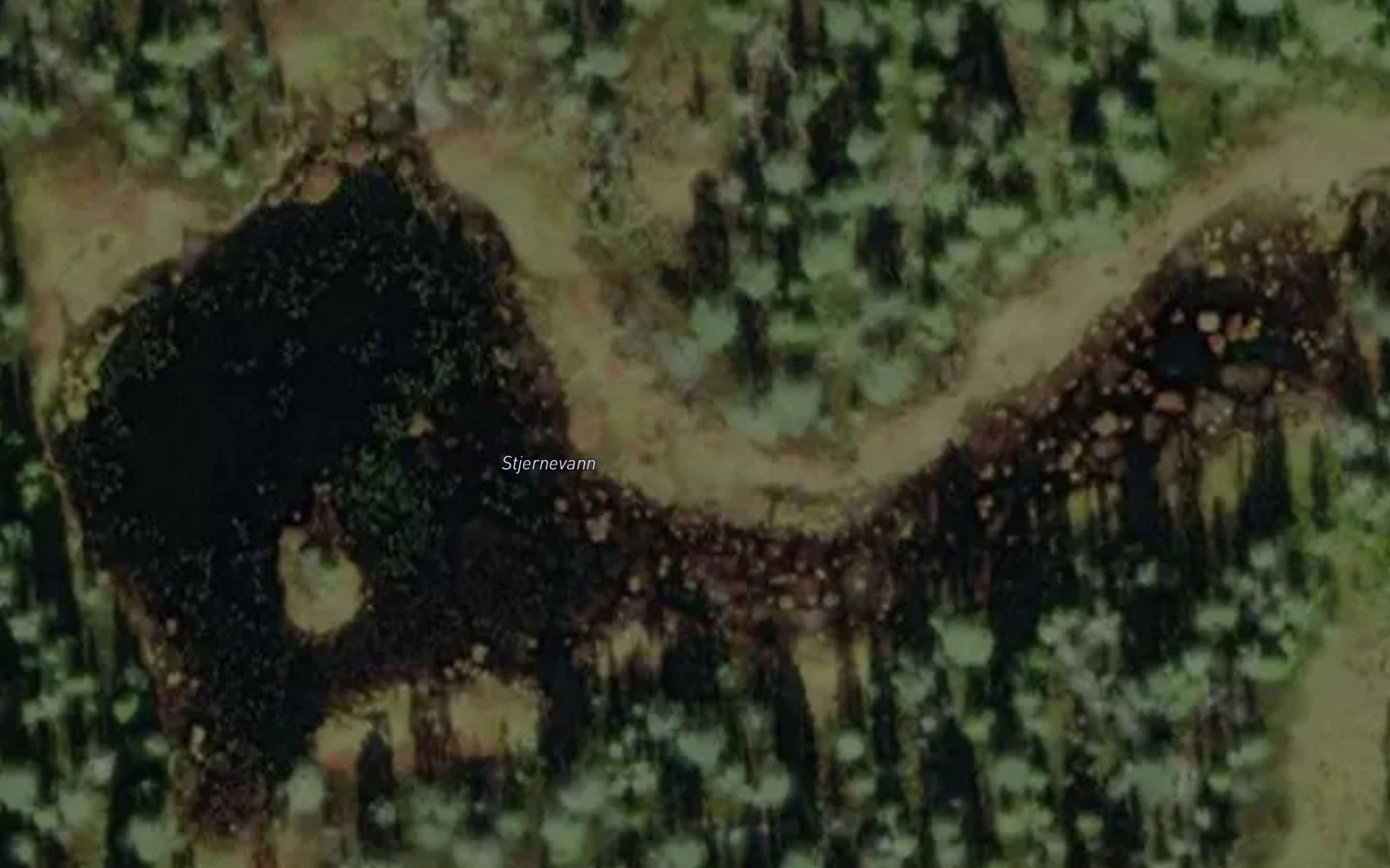 Stjernevann