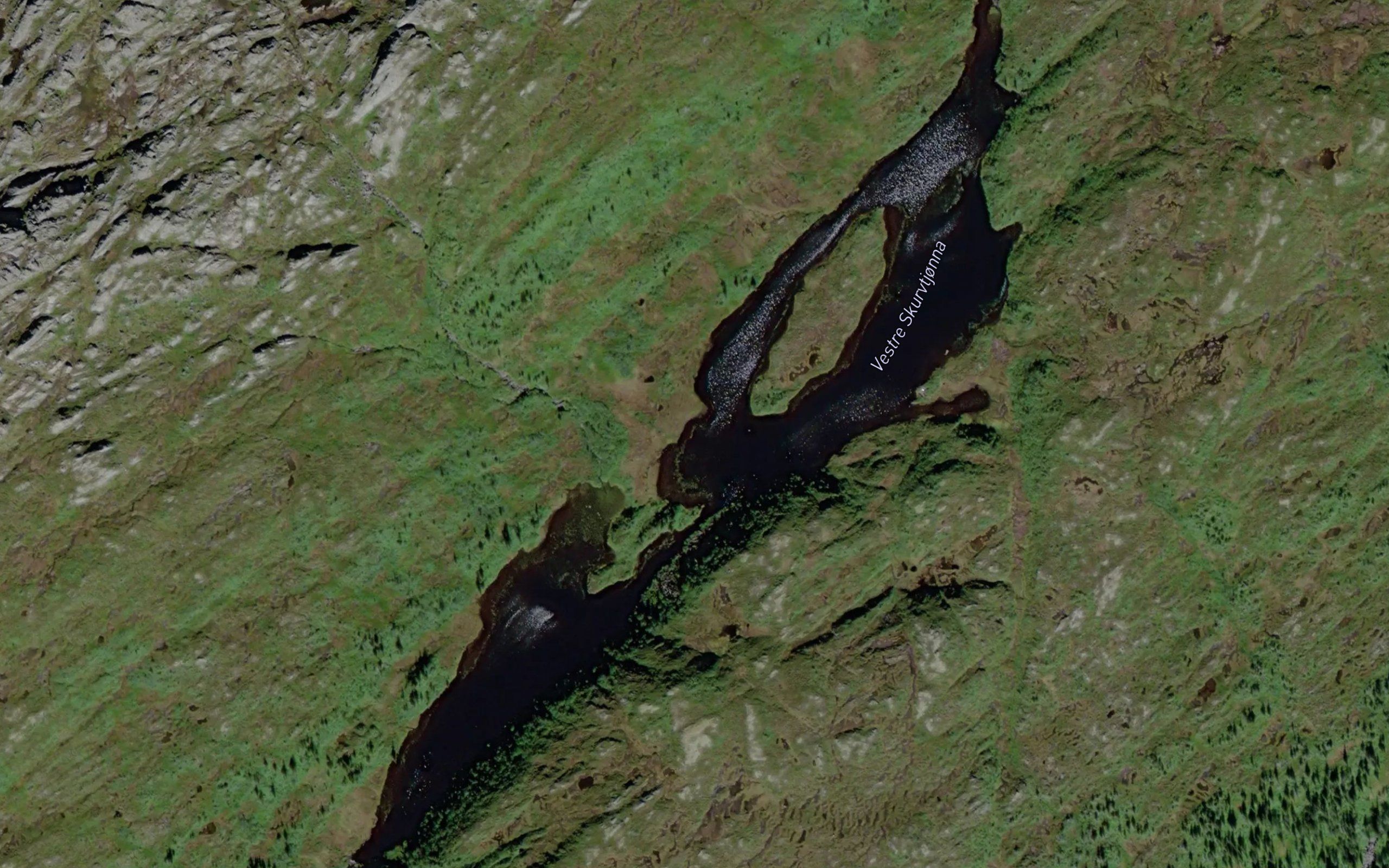 Skurvtjorna,vestre