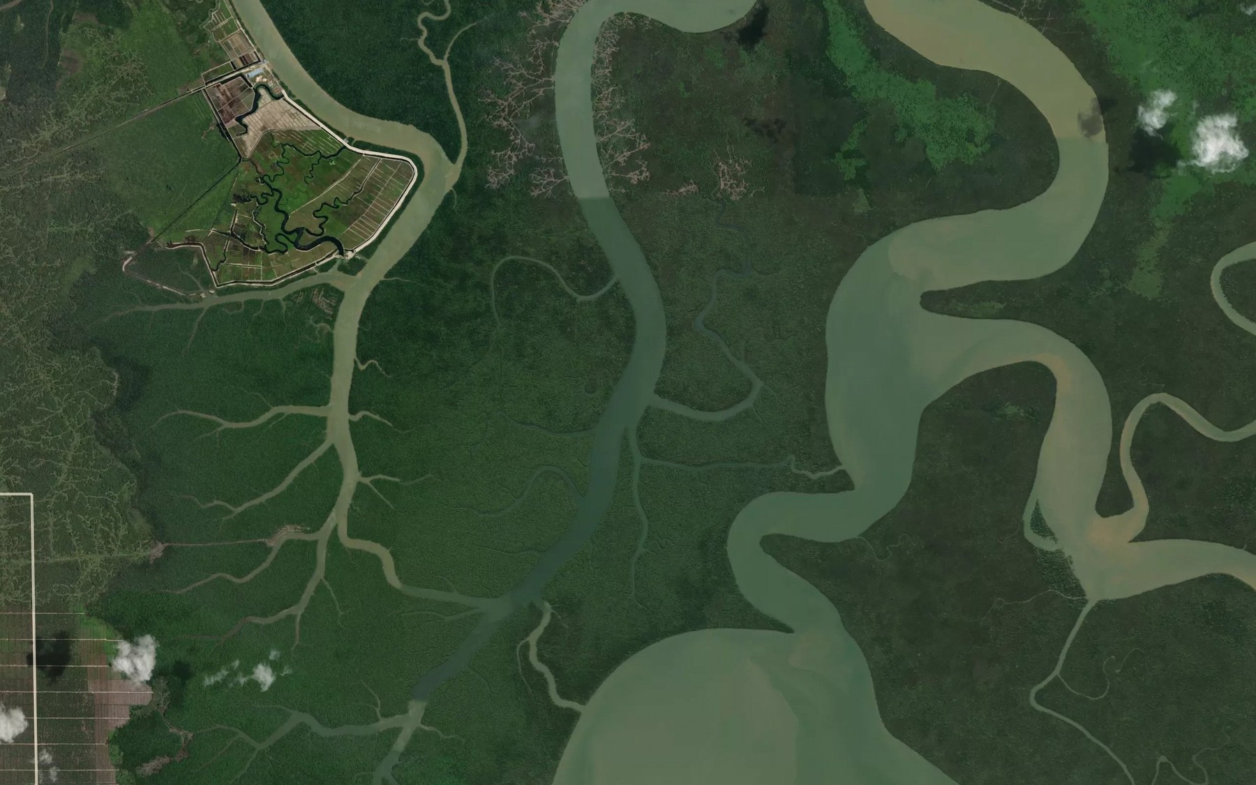Satellite map of the Sungai Pipun