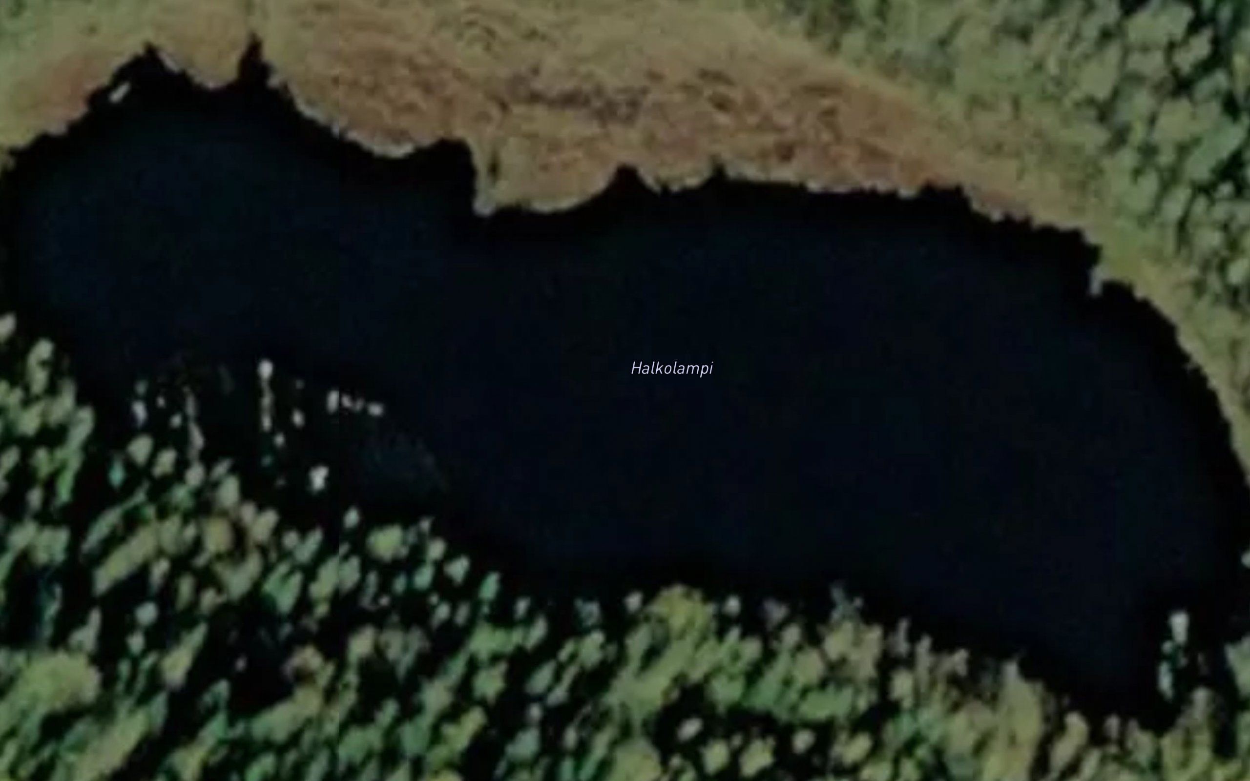 Halkolampi