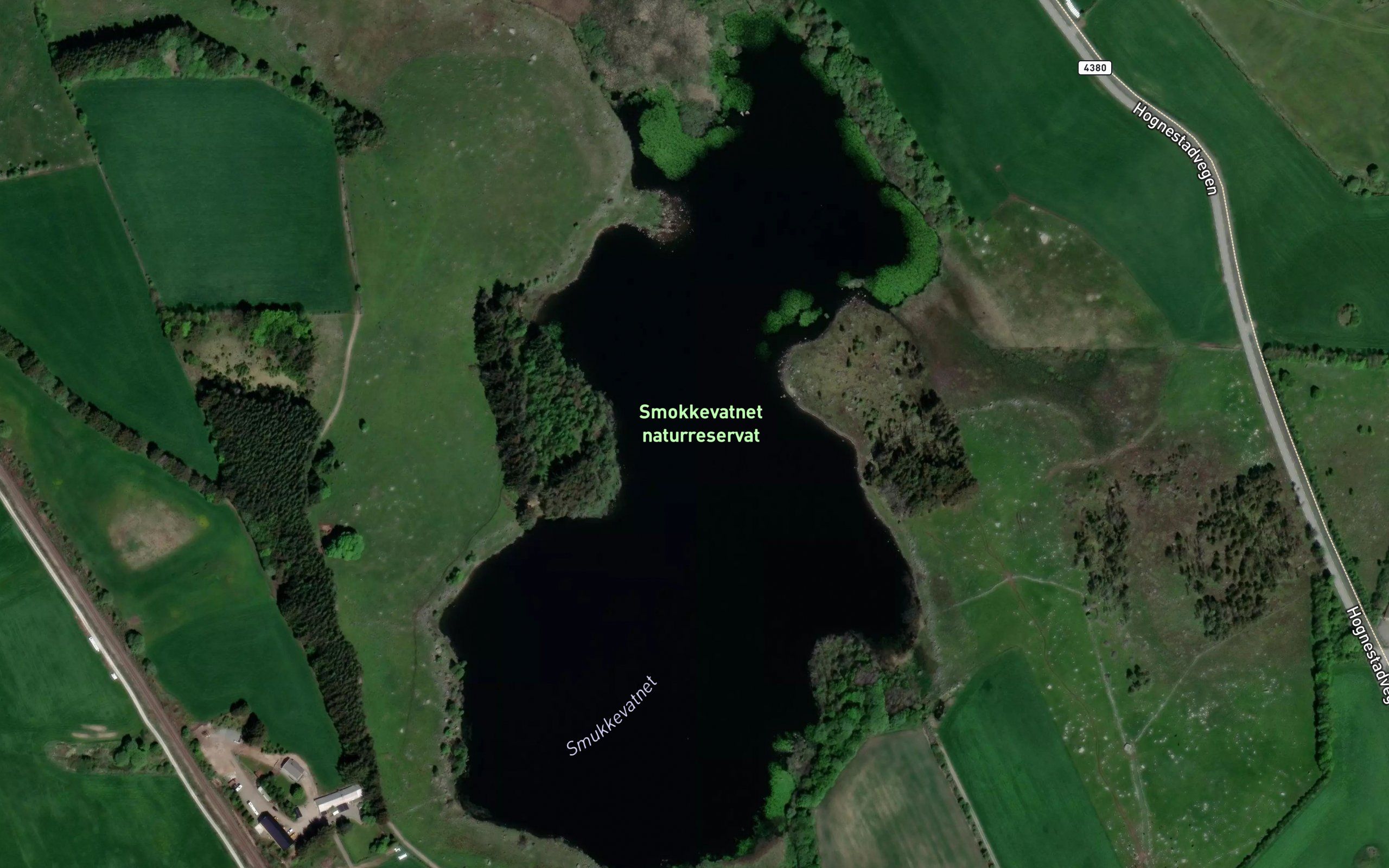 Smokkevatnet