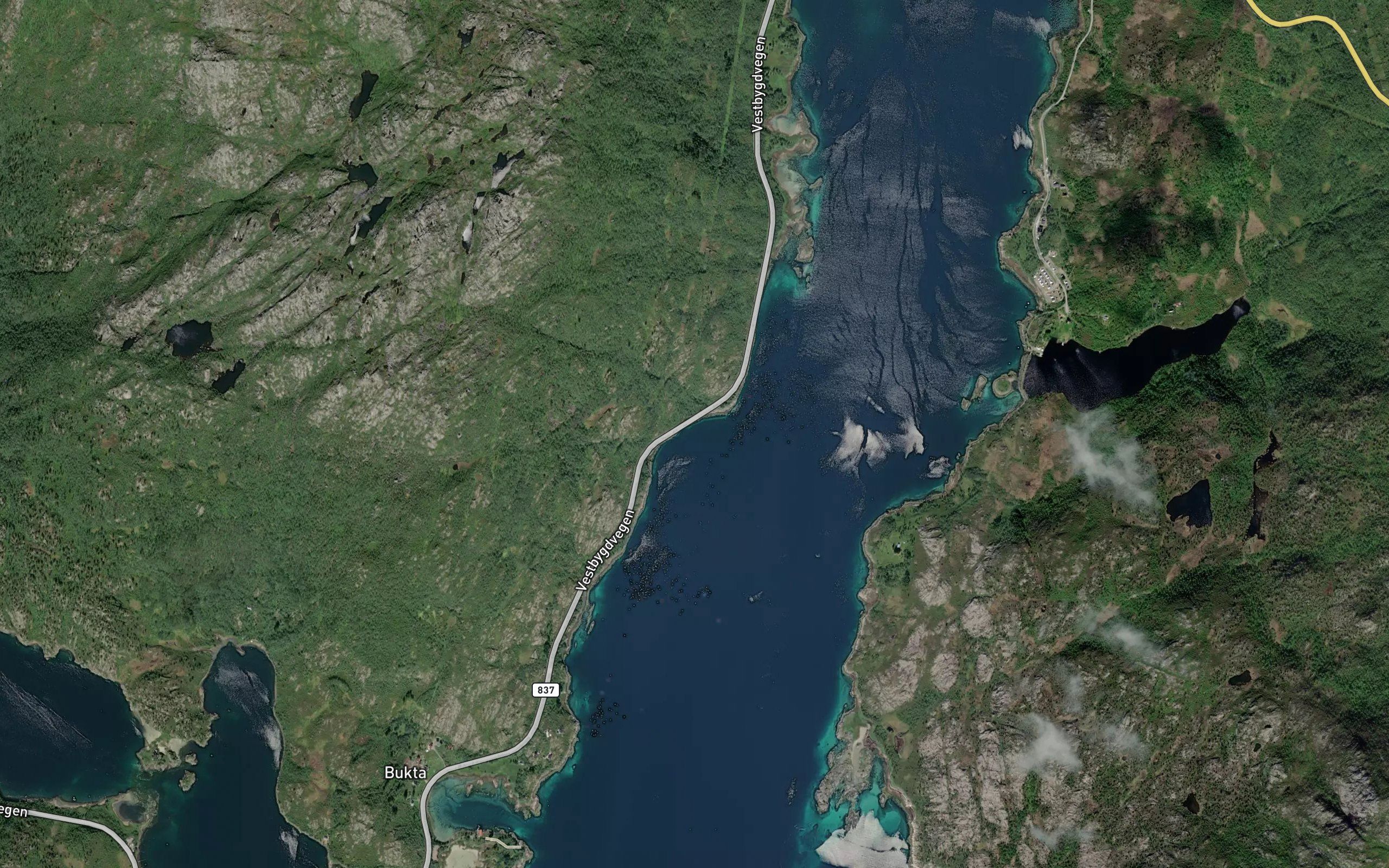 Skarviken