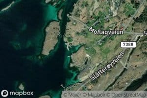 Attringsvika