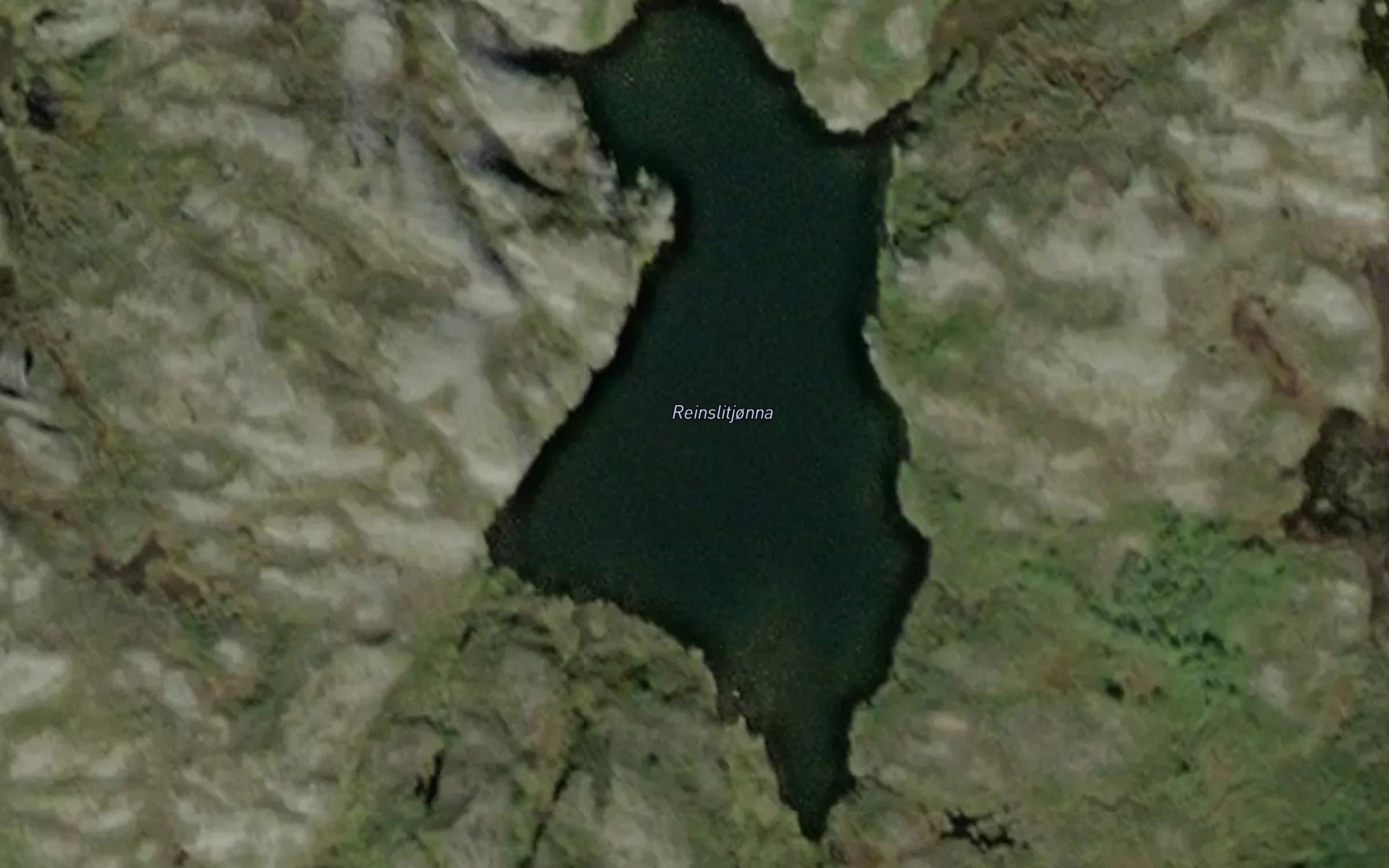 Reinslitjorna