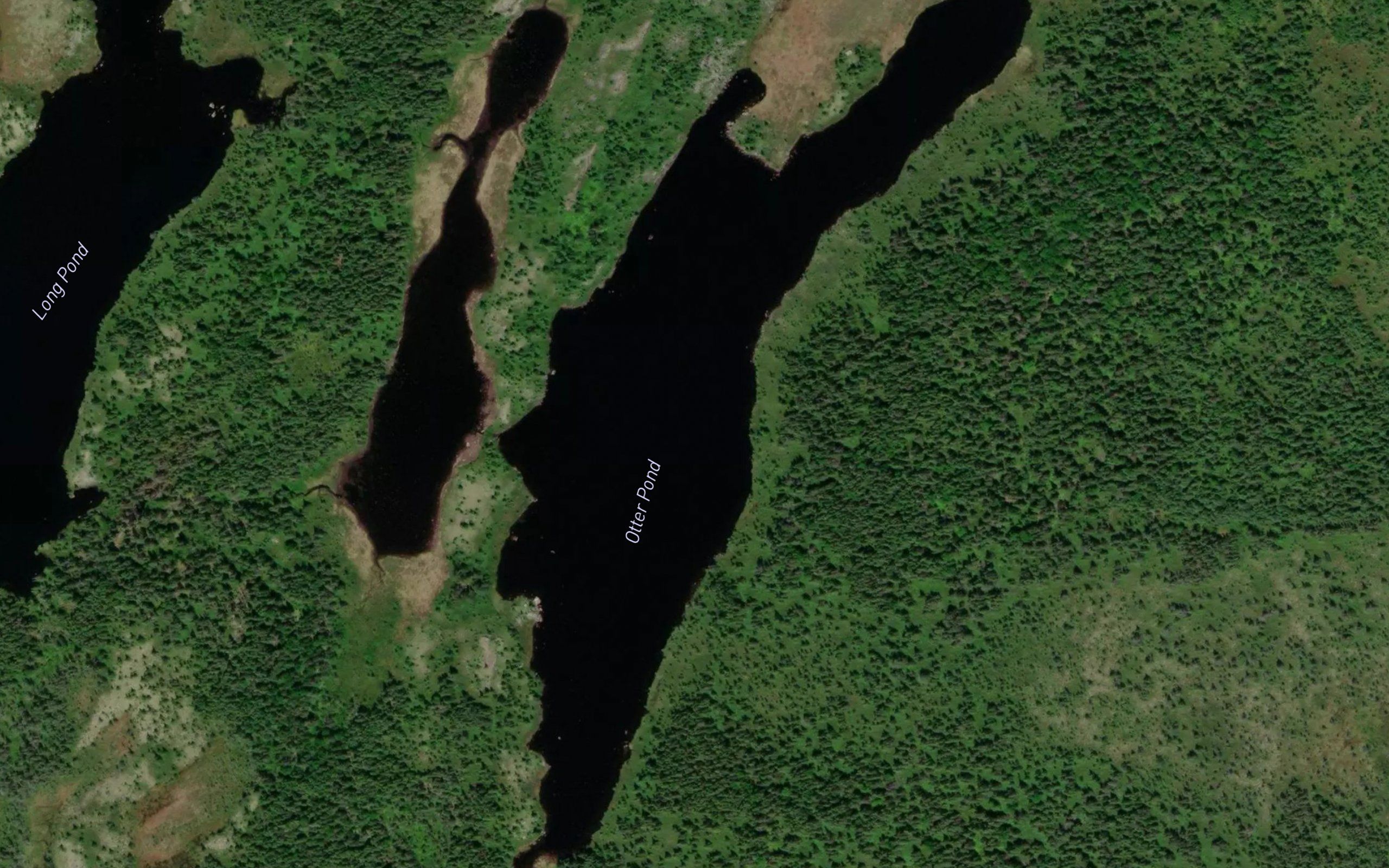Otter Pond