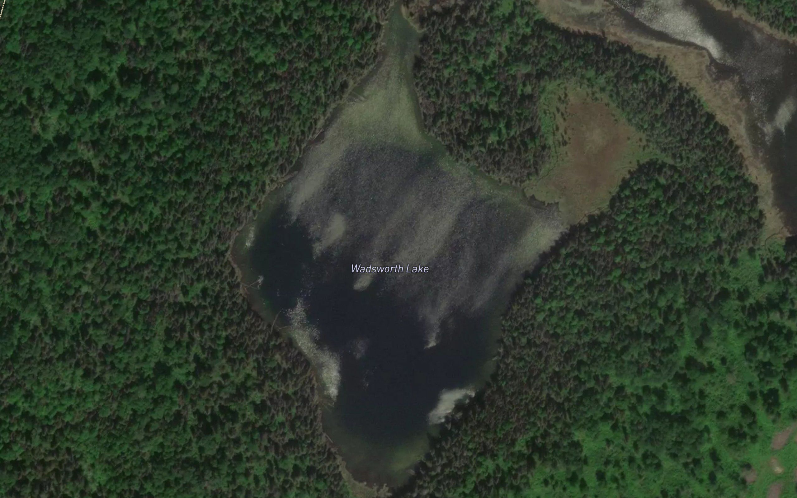 Wadsworth Lake