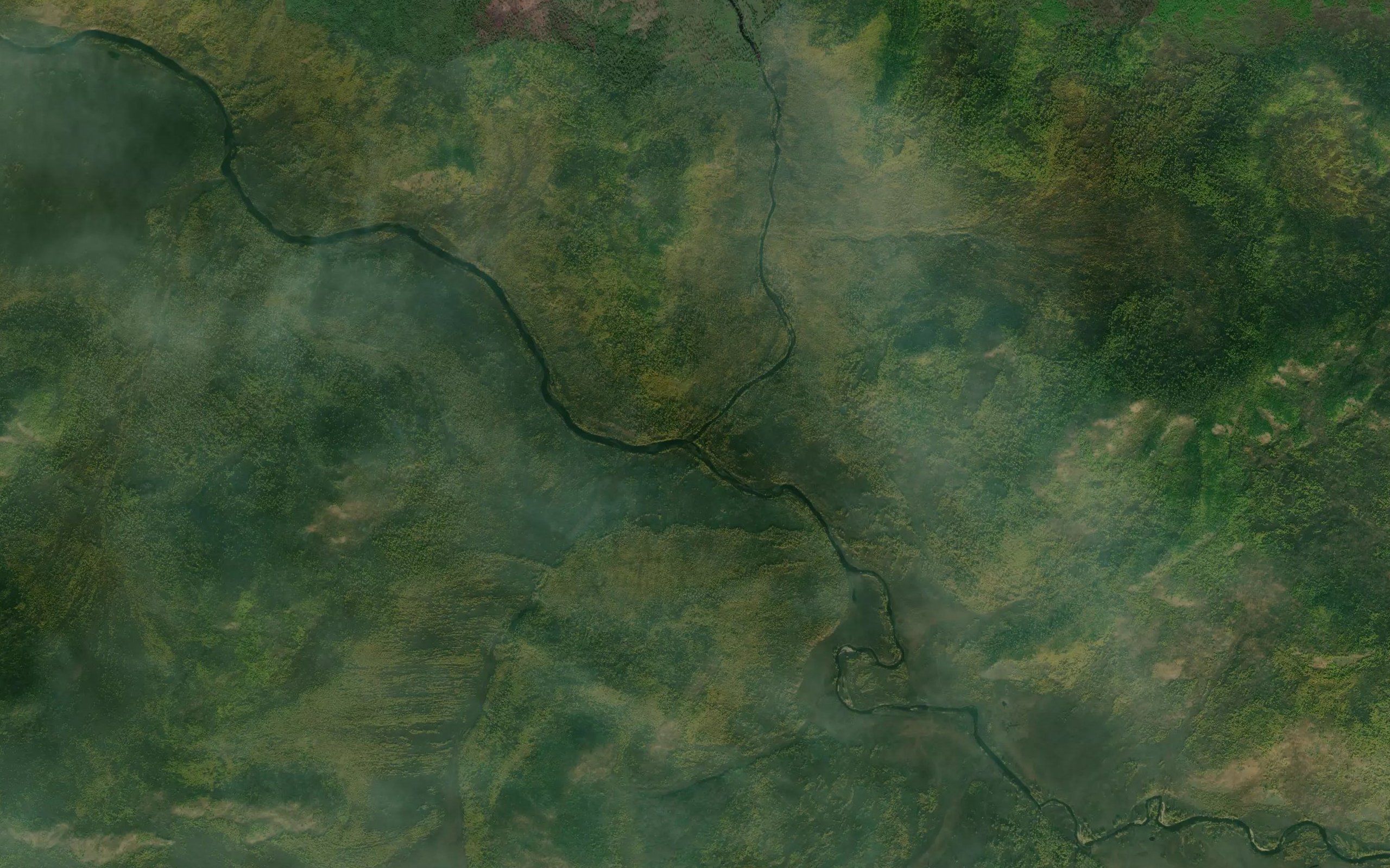 Dulismu