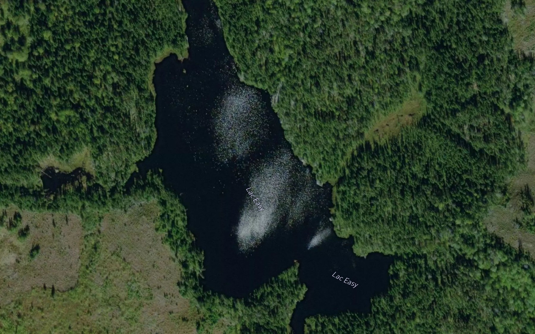 Satellite map of the Lac Easy